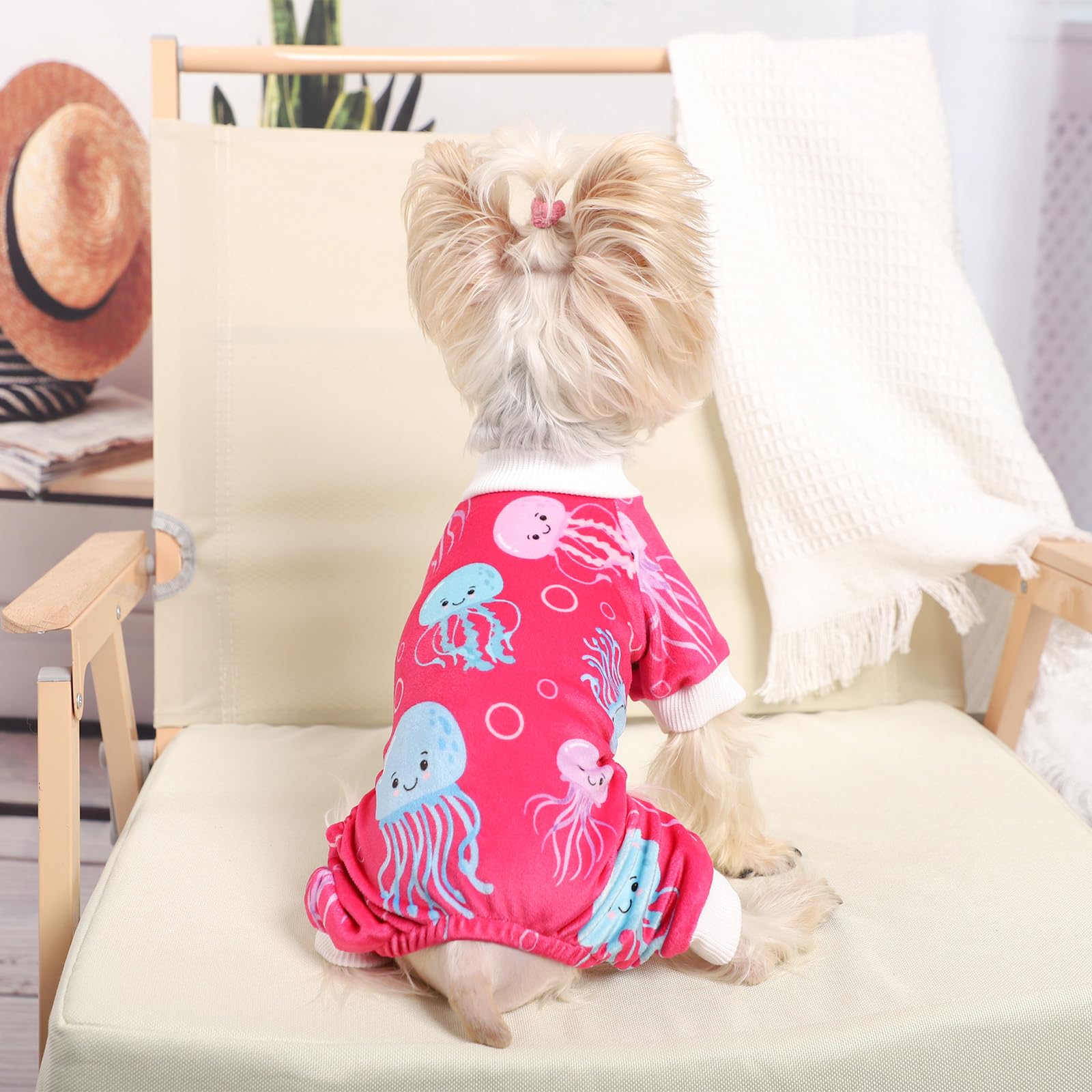 Dog Pajamas Small Sized Dog - Dog Clothes for Small Dogs Girl Boy - Lightweight Velvet Pet Pjs - Fleece Dog Onesie - Winter Spri