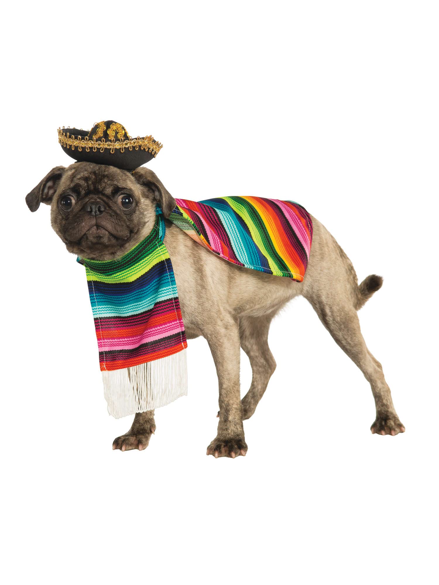 Rubie'S Serape And Hat For Pets, X-Large