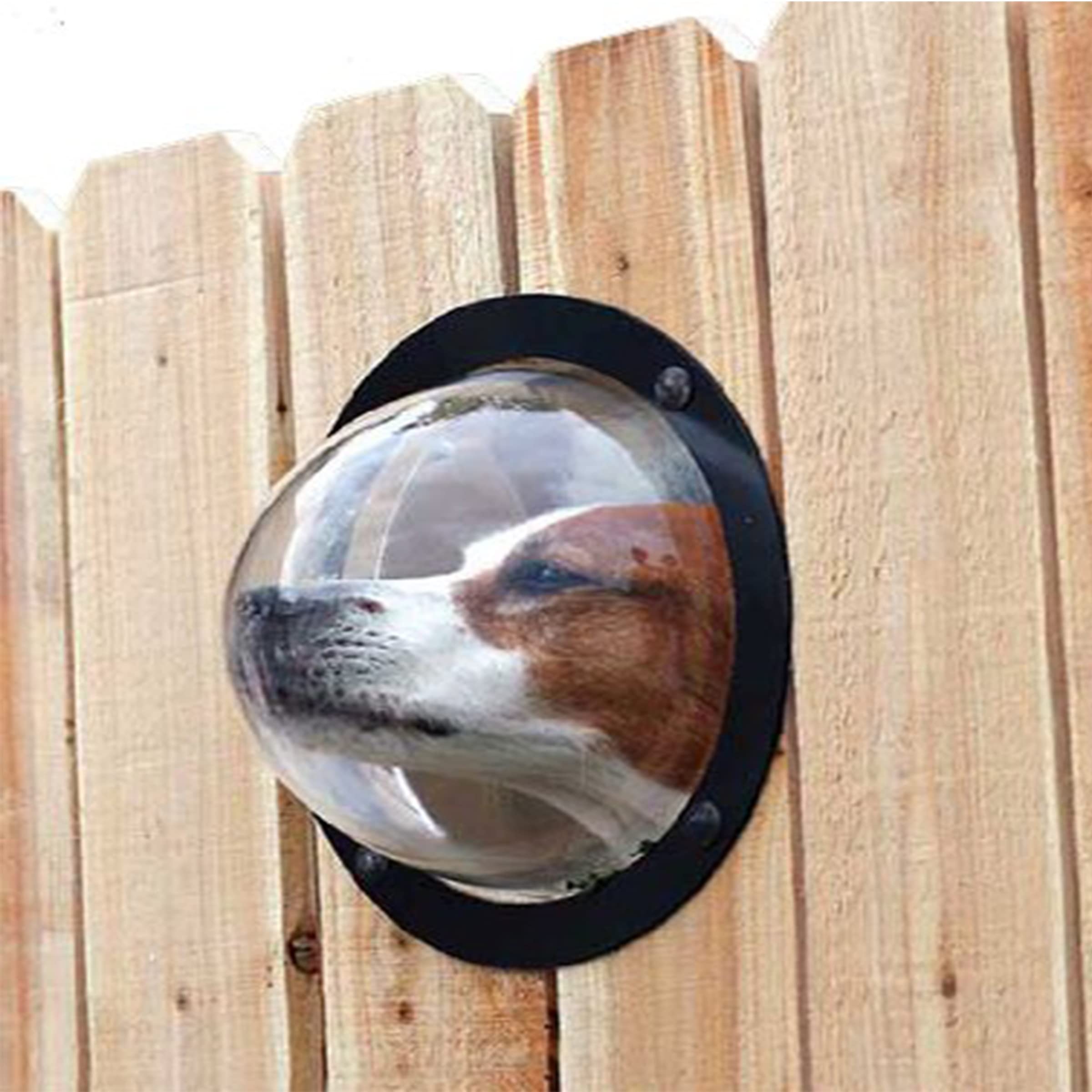 Petpeek Fence Window For Pets