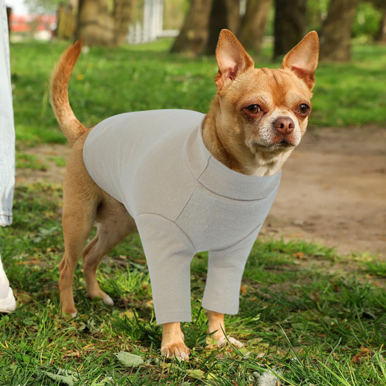 2 Pack L Letsqk Simple Designed Long-Sleeve Dog Tee For Small Breeds, Perfect For Spring, Preventing Dogs From Losing Temperatur