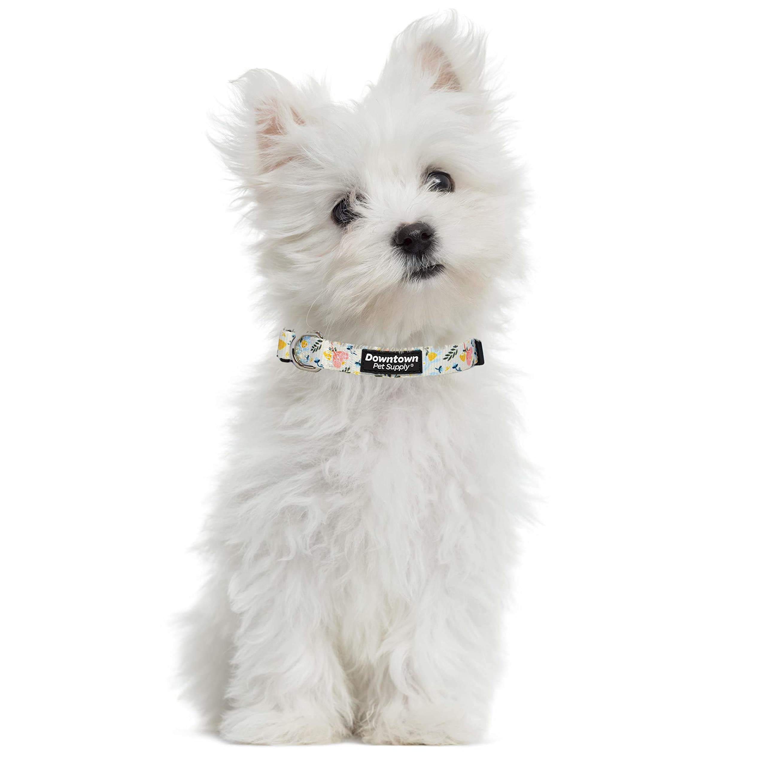 Downtown Pet Supply - Best & Fancy Dog Collar - Lightweight Adjustable With Quick Buckle & D-Ring - Hand Wash Safe - Floral - La