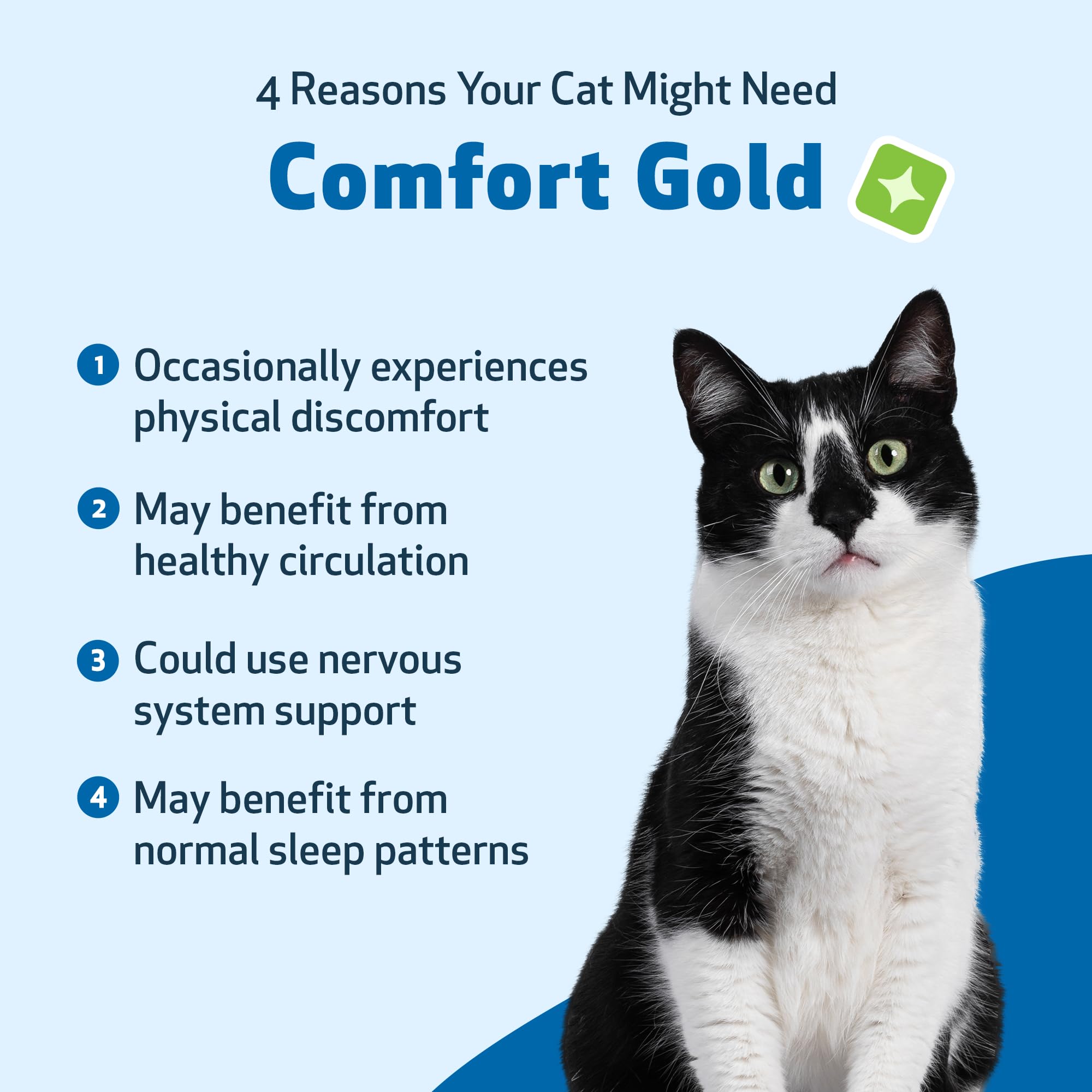 Pet Wellbeing Comfort Gold for Cats - Supports Feline Physical Comfort, Healthy Circulation, Corydalis, Turmeric - Veterinarian-