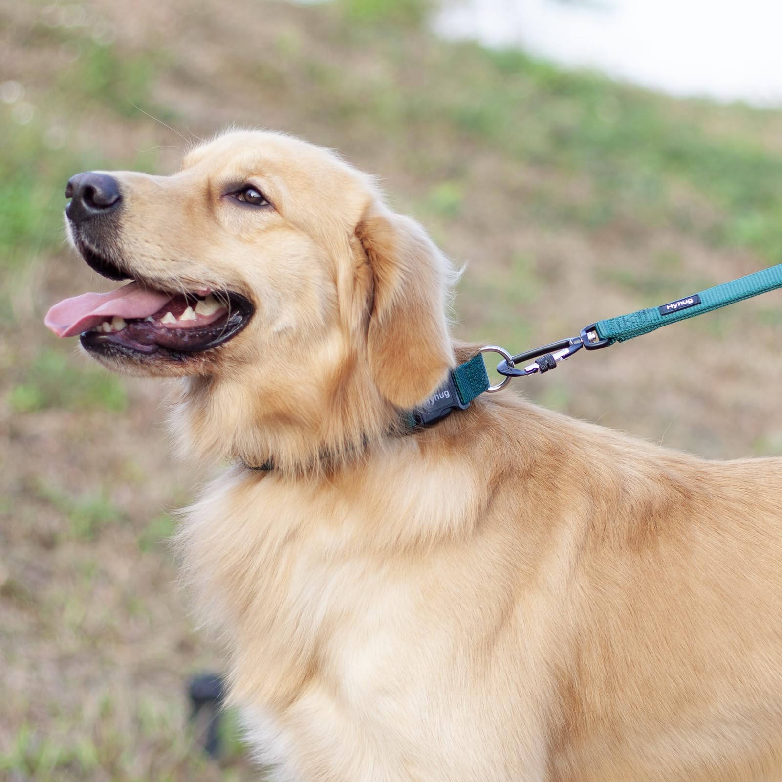Hyhug Pets Solid Color Classic Regular Heavy Duty Basic Collar For Small Dogs, Unique Design Adjustment Triglide Slide (Buckle)