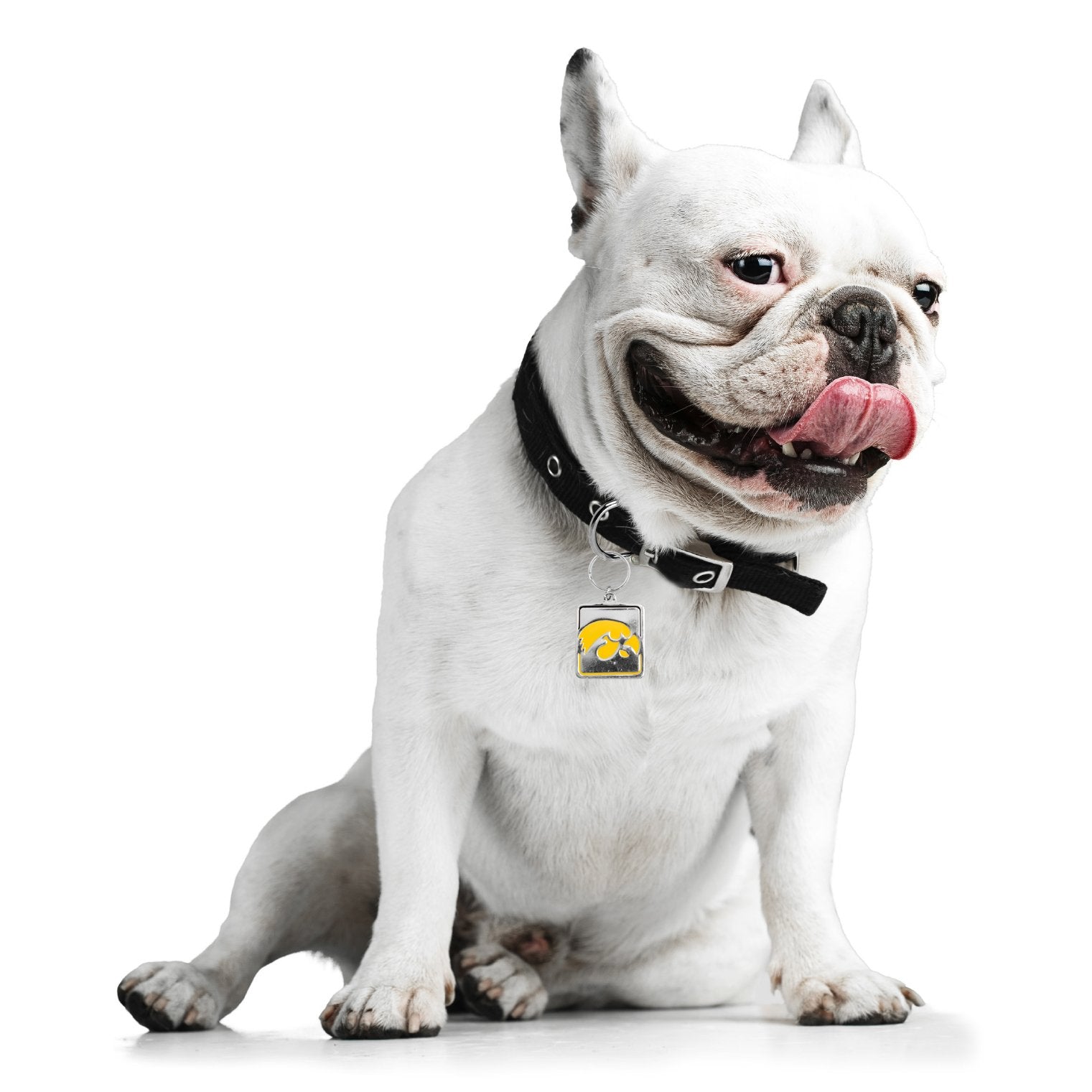 Little Earth Ncaa Iowa Hawkeyes Pet Collar Charmncaa Pet Collar Charm, Silver, 1.25' By 1.325'
