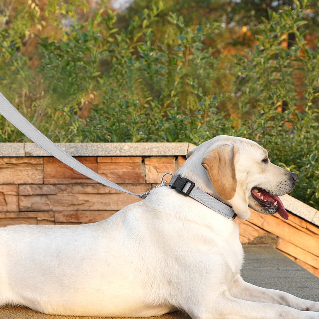 Penseepet Dog Leash 6 Ft Padded Handle Nylon Reflective Dogs Leashes For Medium Dogs Silver