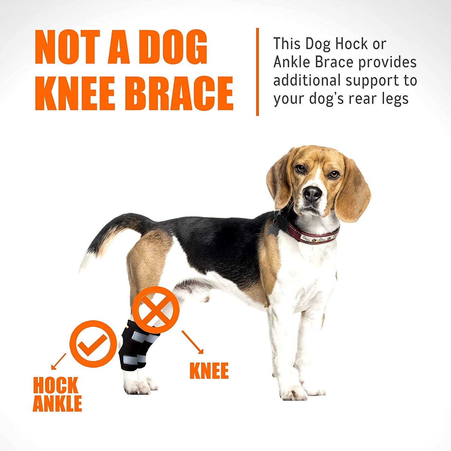 NeoAlly Cat and Dog Ankle Brace Pair Canine Rear Leg Hock Support with Safety Reflective Straps for Hind Leg Wounds Heal and Inj