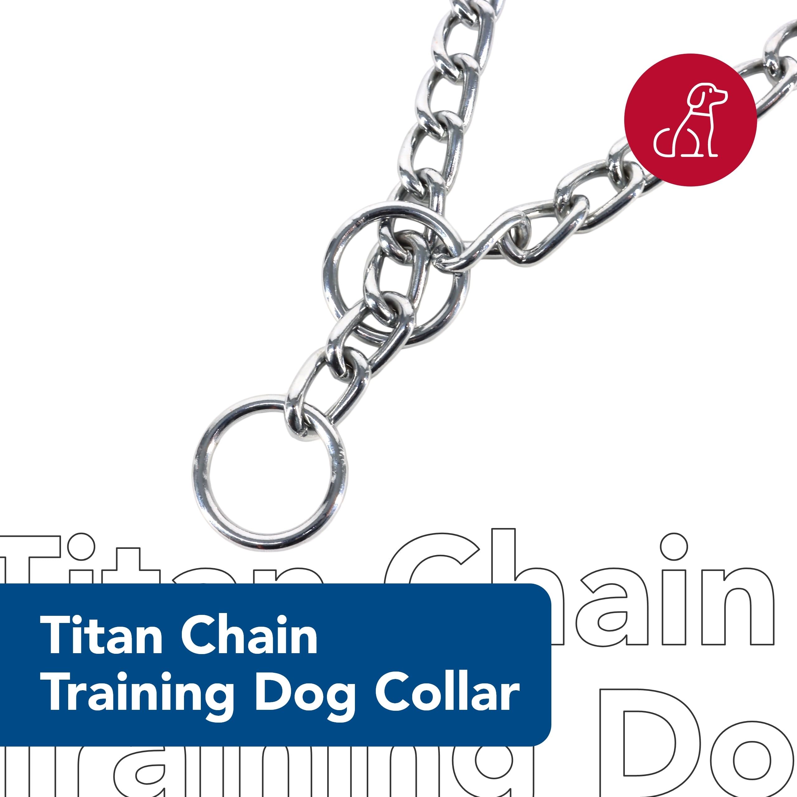 Pet Stores Titan Dog Training Chain Collar 4.0Mm - Silver