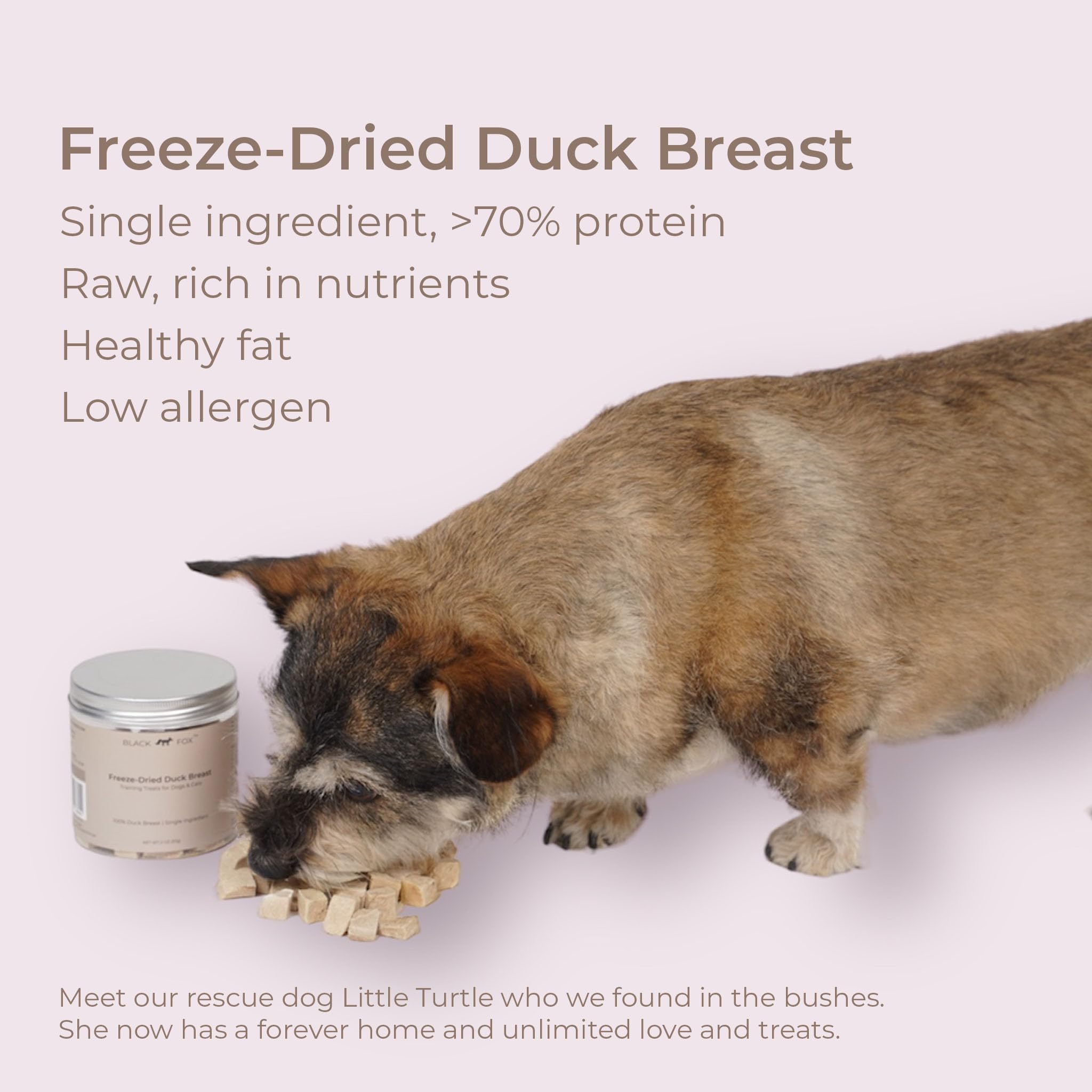 BLACK FOX Freeze-Dried Duck Breast Dog Treats | 2oz All Natural, Human Grade, Healthy Cat Treats
