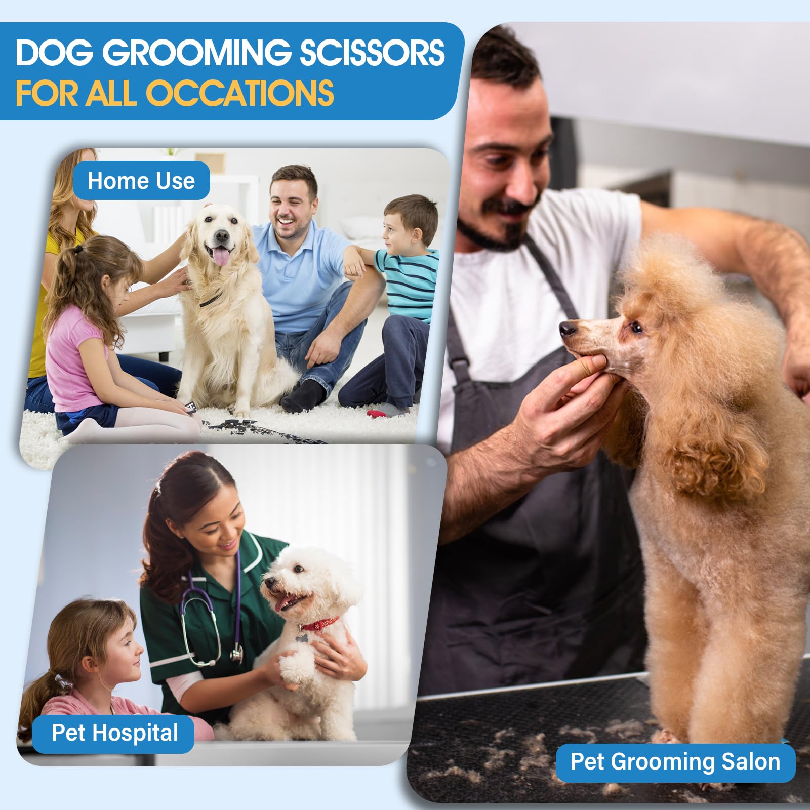 JASON Dog Grooming Scissors Set - 6 in 1 Stainless Steel Shears with 7" Thinning, Chunker, Straight, Curved, Rosegold