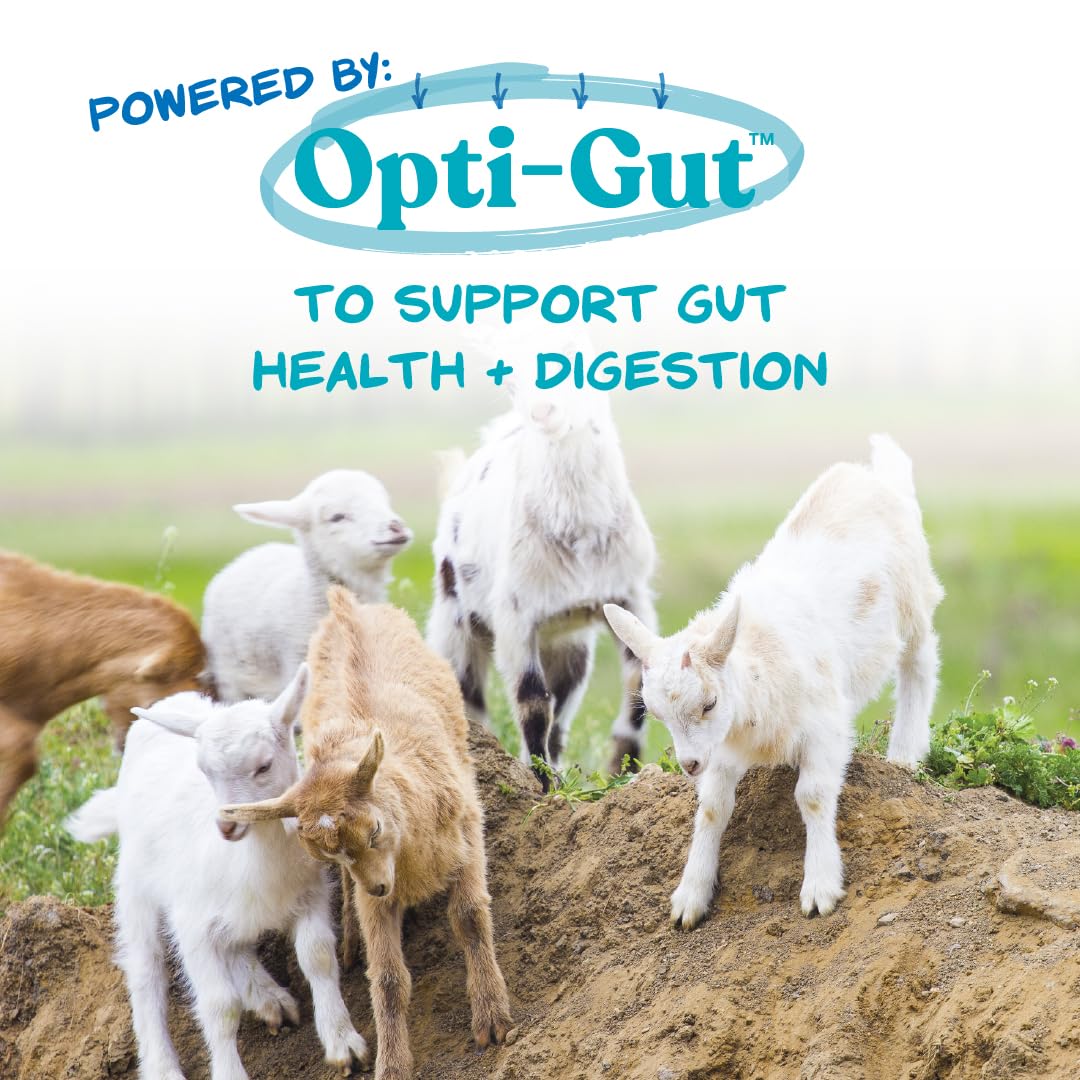 Manna Pro Nurse All Multi-Species Milk Replacer - Powered by Opti-Gut to Support Gut Health & Digestion - All-Milk Protein - Eas