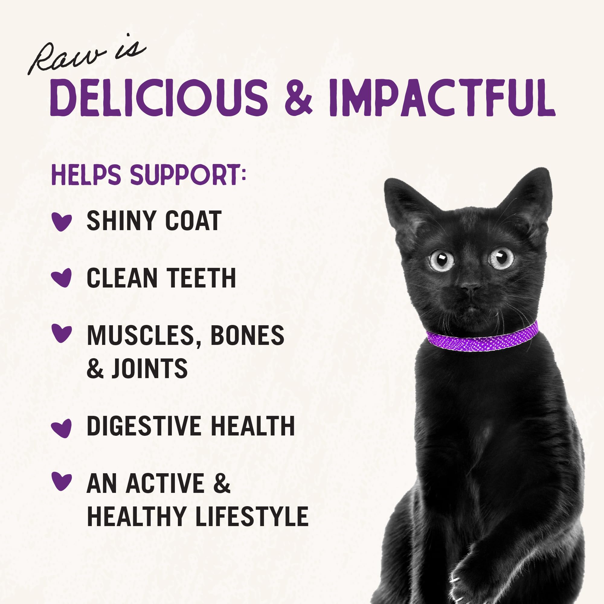 Stella & Chewys Freeze-Dried Raw Cat Dinner Morsels - Grain Free, Protein Rich Cat & Kitten Food - Sealicious Salmon & Cod Reci