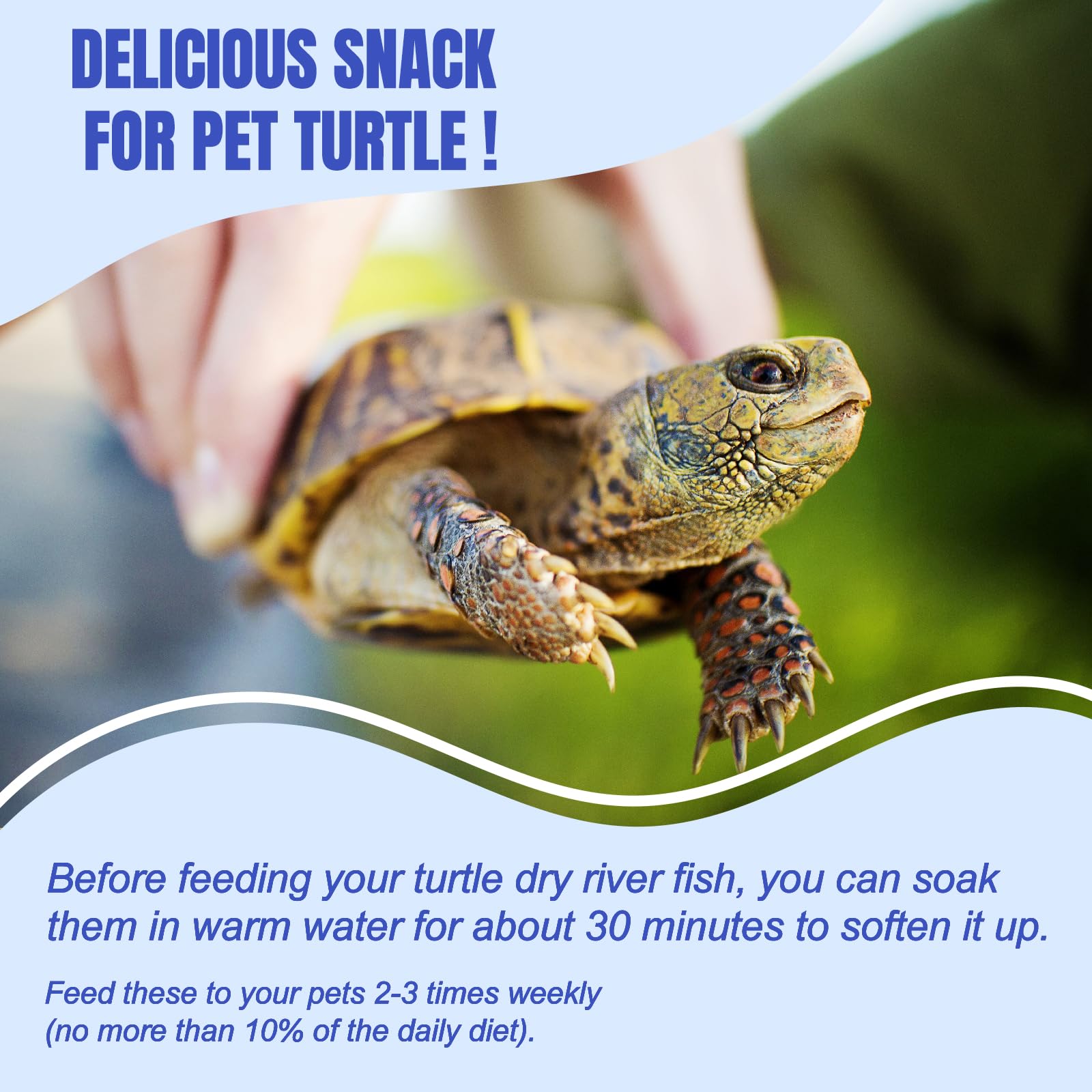 Amzey Dried River Fish 2.3 oz - Natural Food for Turtles, Reptiles & Tropical Fish