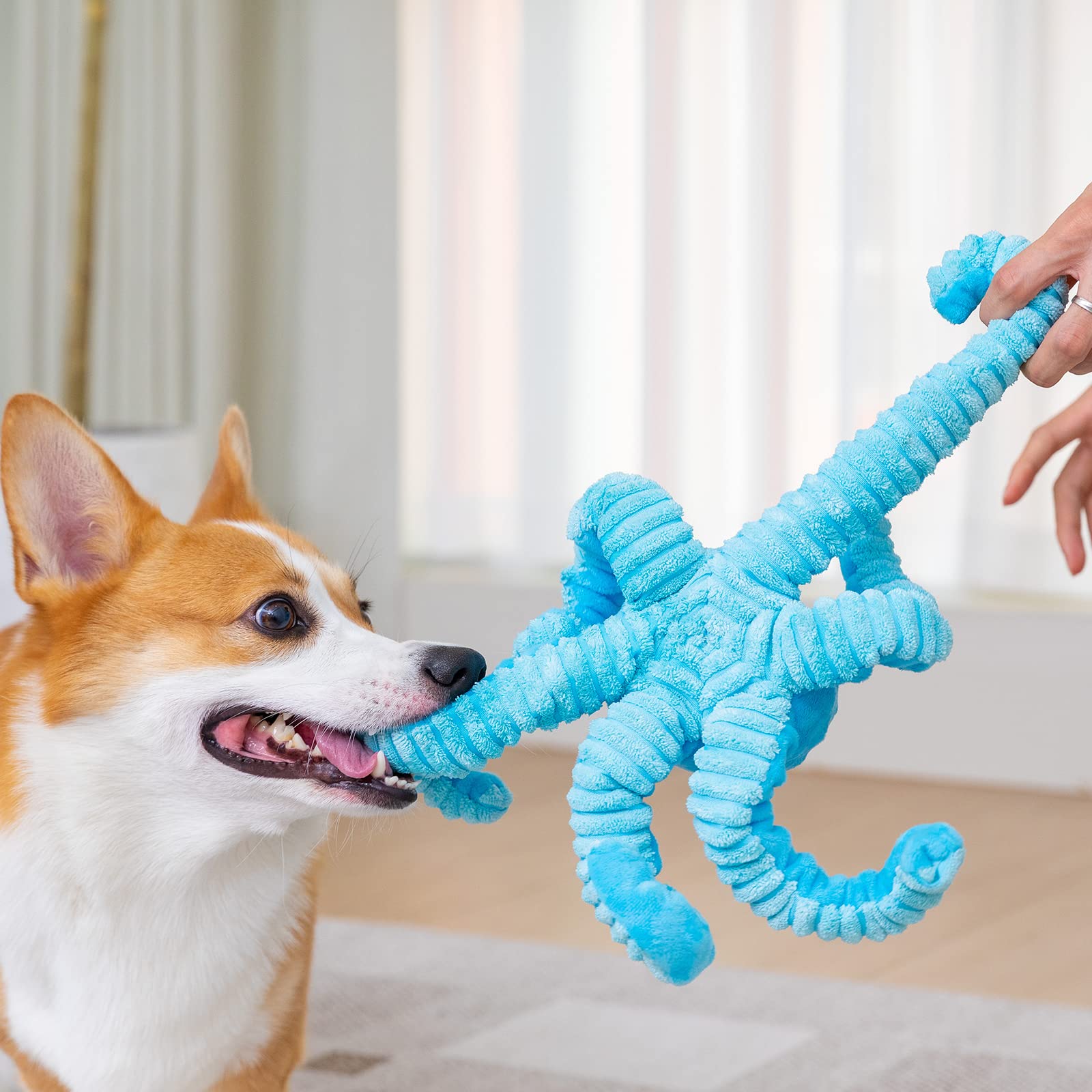 Pubialo Squeaky Dog Toys Octopus-Tug Of War Dog Plush Toy For Large Breed Interactive Dog Chew Toys For Puppies Small And Large Dogs Training And Reduce Boredom (Blue, Octopus)