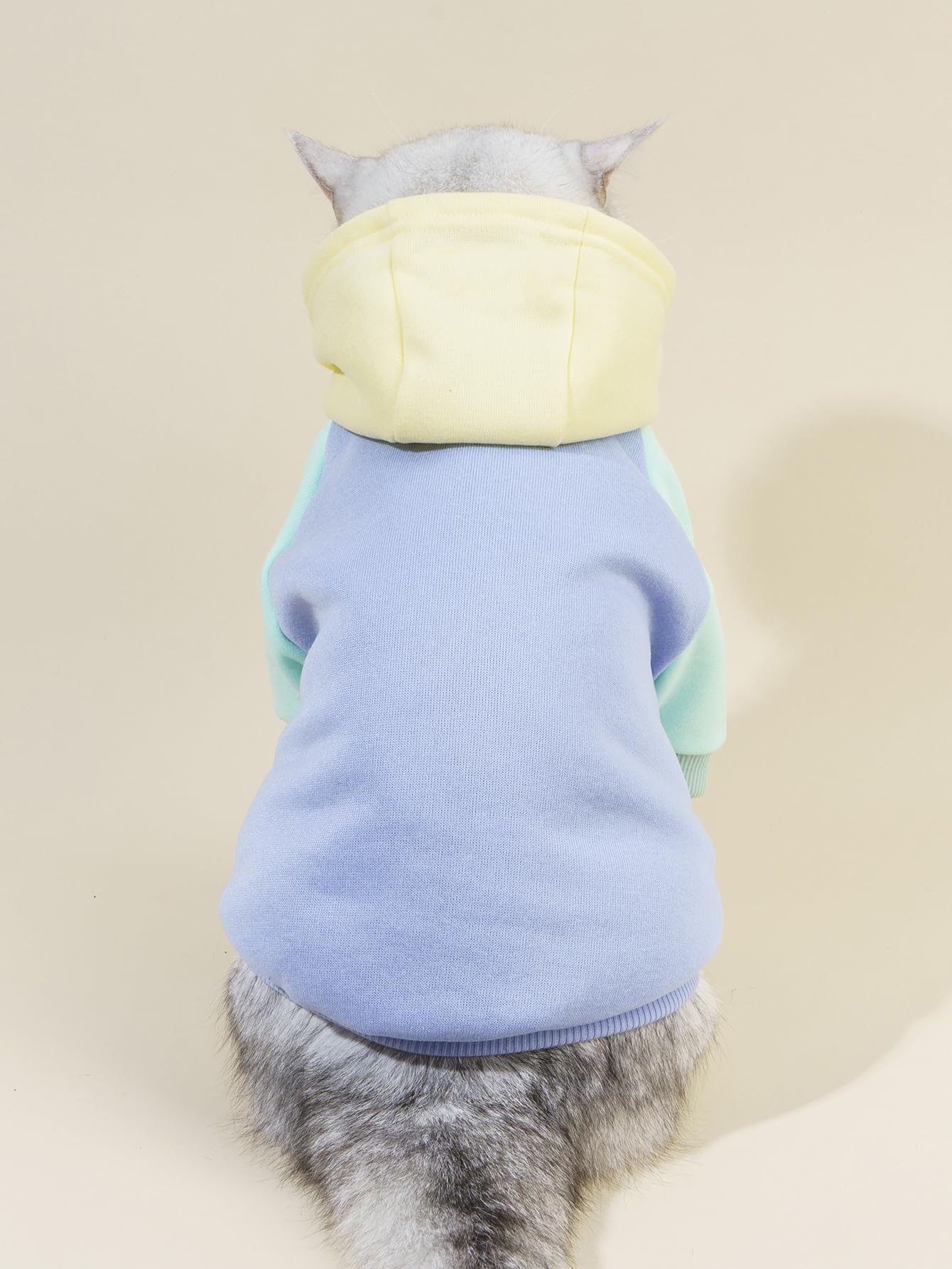 Qwee Basic Dog Hoodie - Cat Jacket, Dog Shirt & Cat Clothes - Puppy To Large - Yellow & Blue