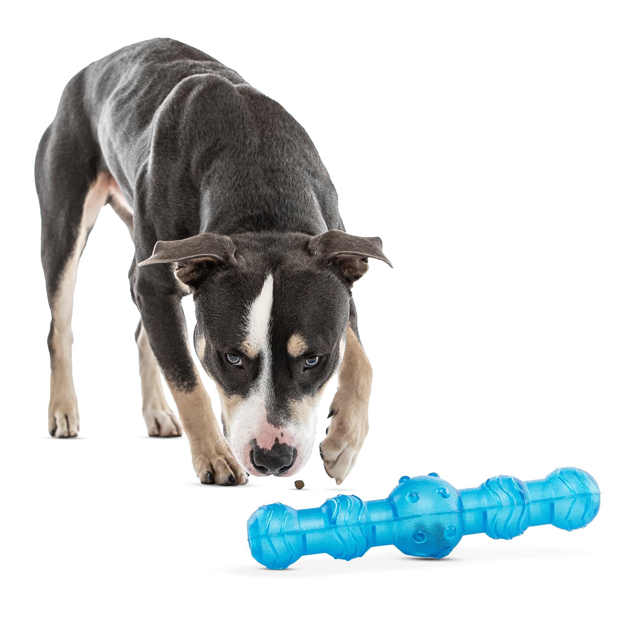 GURU Pet: Shaker Stick - Large - Blue Dog Toy, Treat Dispensing, 11.25 Durable Interactive Pet Chew, Slow-Feeding, Easy Load, Sh