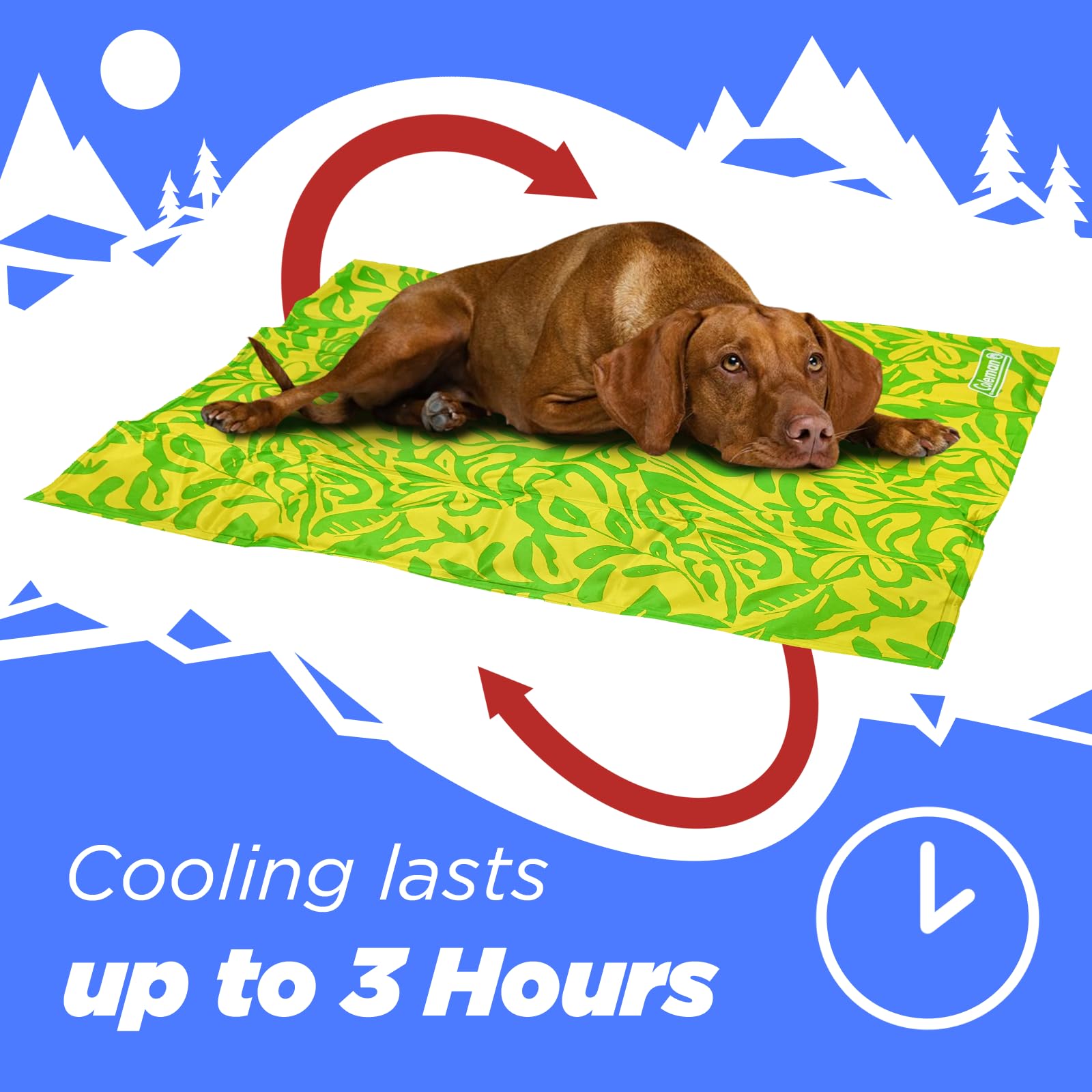 Coleman Small Green Botanical Pattern Reversible Cooling Mat - 18    x 24