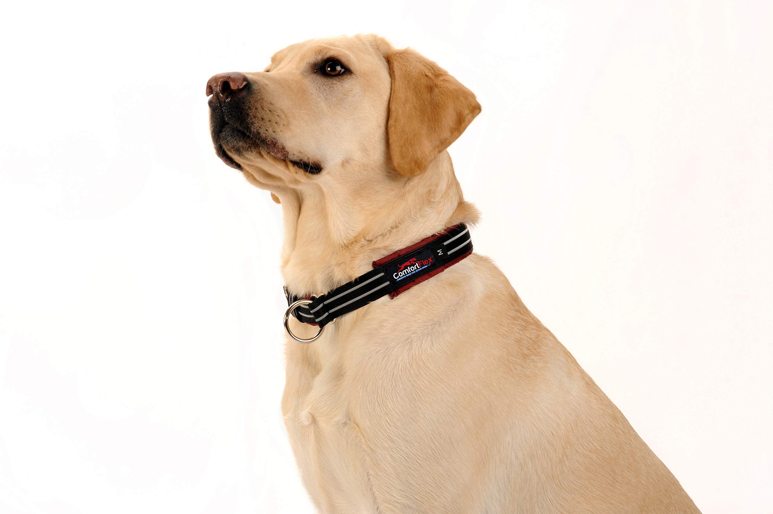 Comfortflex Martingale Collar For Dogs - American Made Slip Collar, Reflective, Adjustable, No Pull Training Collar For Medium Dogs – Soft, Wide, Fully Padded, Escape Proof - Medium, Purple