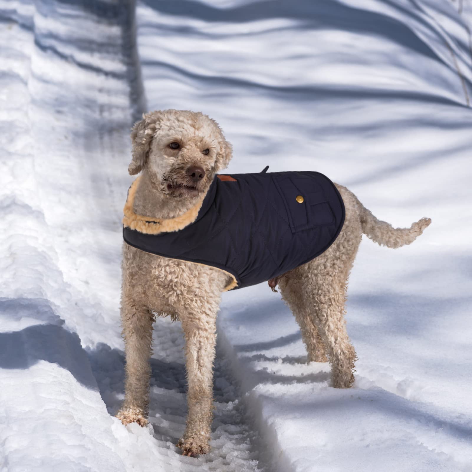 Queenmore Cold Weather Dog Coat, Winter Quilting Dog Jacket Ultra Warm Thick Plush Lining With Storage Pockets (Green, Small)