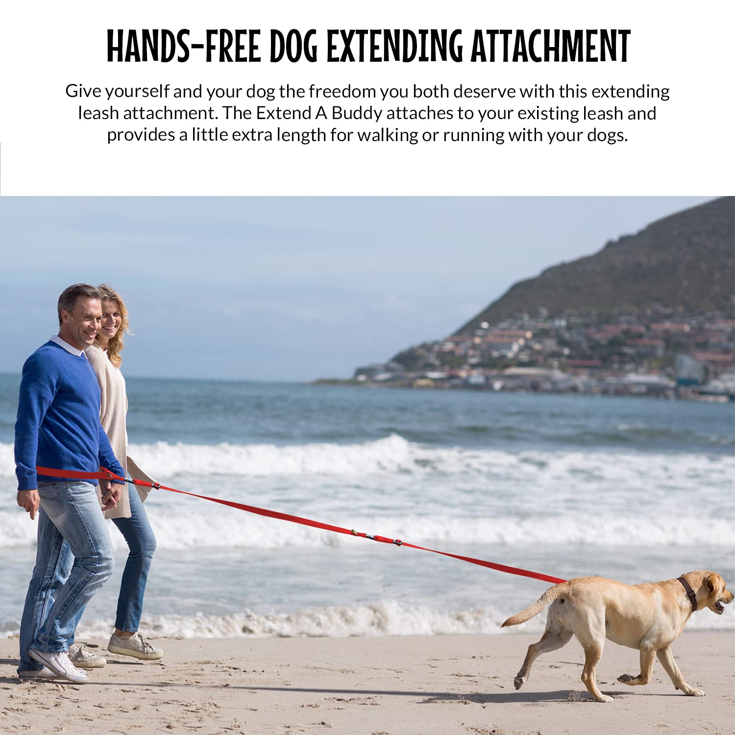 The Buddy System Accessories For Our Dog Leashes Made In Usa (Extender, Regular Dog Red)