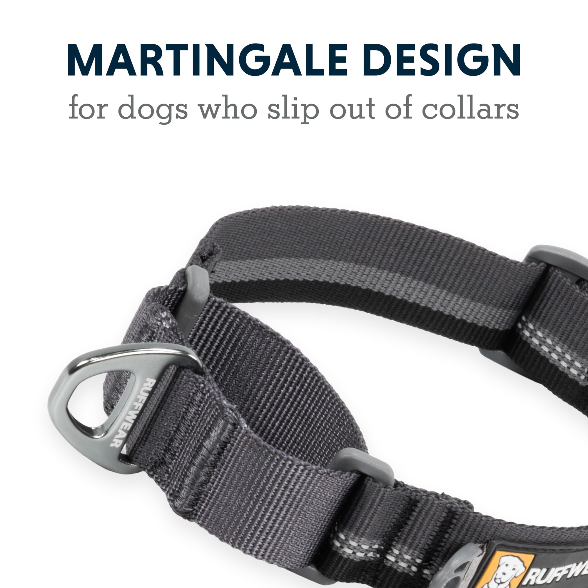 Ruffwear, Web Reaction Dog Collar, Martingale Collar For On-Leash Walking, Basalt Gray, 23''-26''