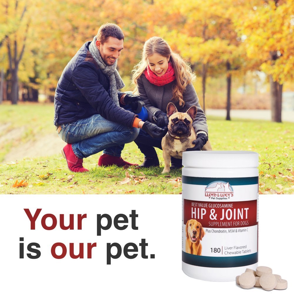 Lloyd & Lucys Hip and Joint Supplement for Dogs - Chewable Multivitamin with Glucosamine, Chondroitin, MSM and Vitamin C - Heal