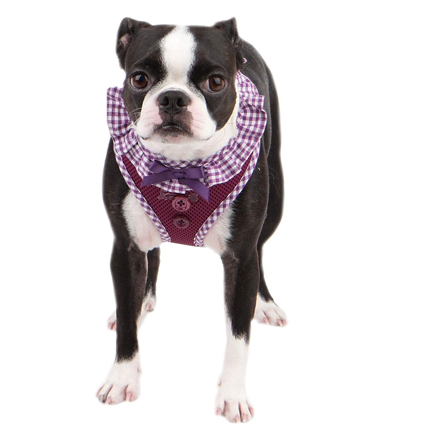 Puppia Vivien Harness - Medium, Purple, Polyester, Model PALA-AC860-PU-M