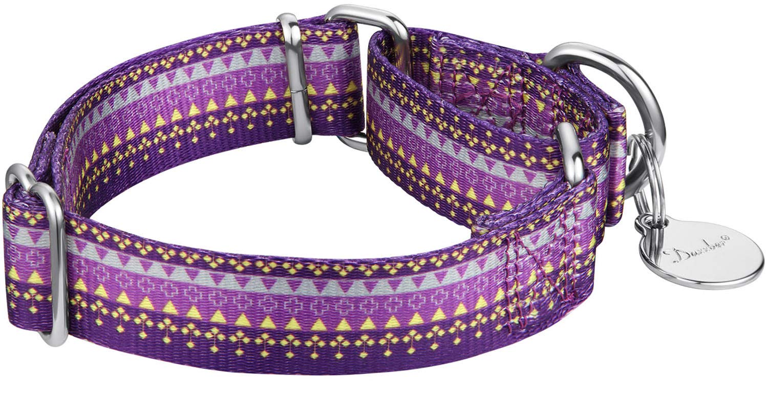 Martingale Collar Floral Print Dog Collar - Dazzber No Pull Pet Collar, Heavy Duty Adjustable Dog Collar, Large, Neck 17 Inch -25 Inch, Sun Flower (Graphite Grey)