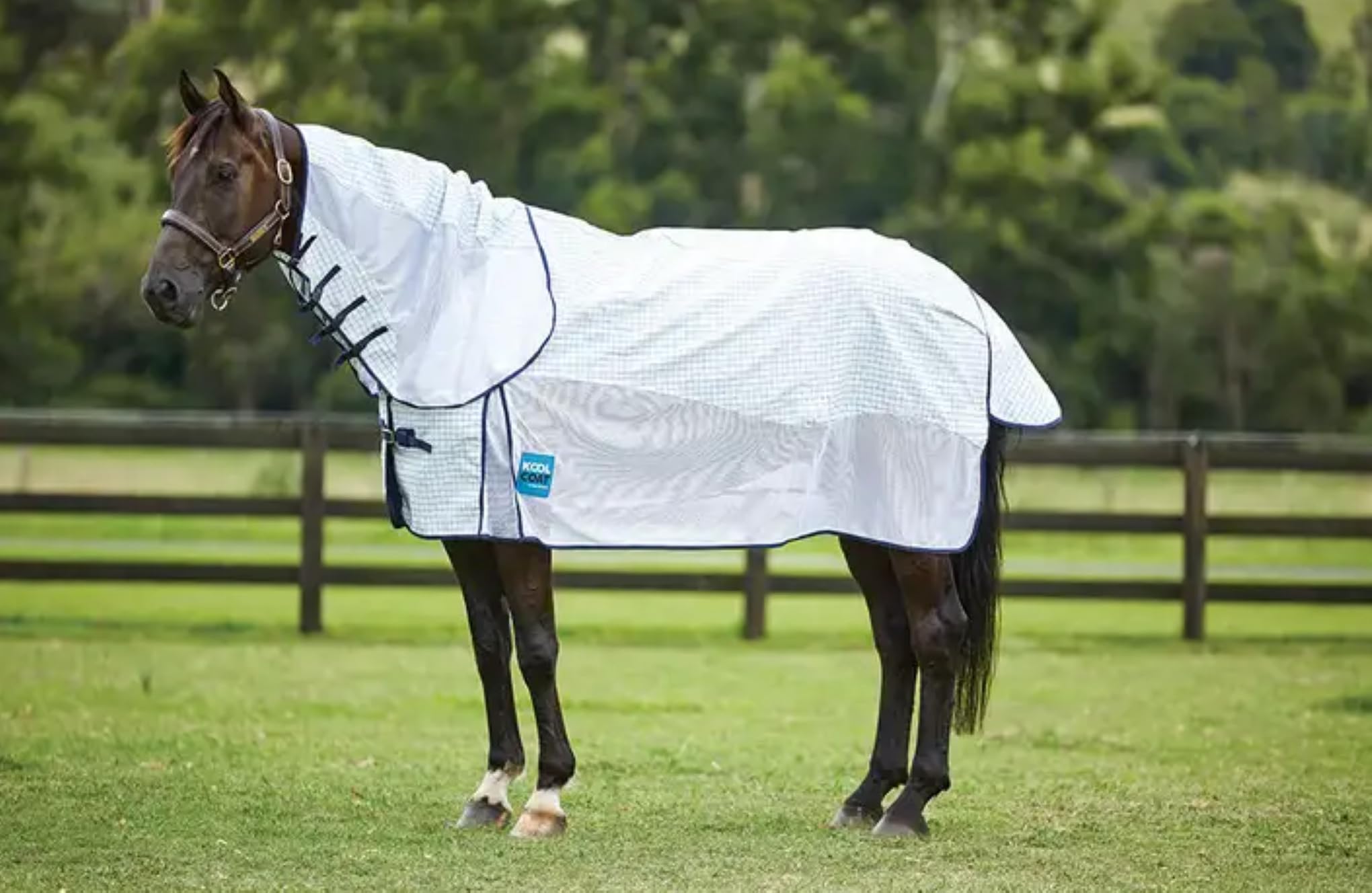 Kool Coat Airstream Detach-A-Neck Fly Sheet , Whitenavy, 78
