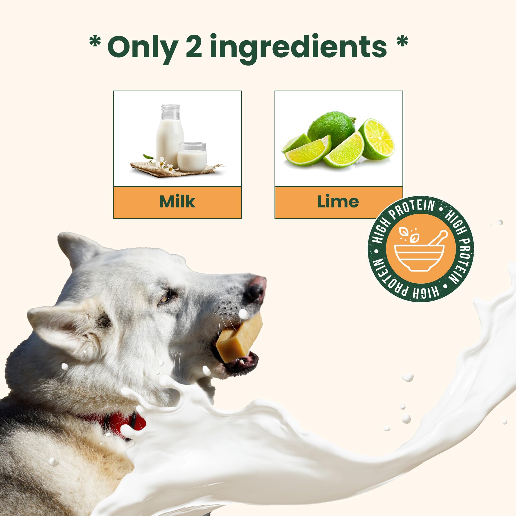 Authentic Himalayan Yak Cheese for Dogs - XLarge (Pack of 2) - Sourced from Pristine Himalayan Foothill, Rawhide-Free, NO preser