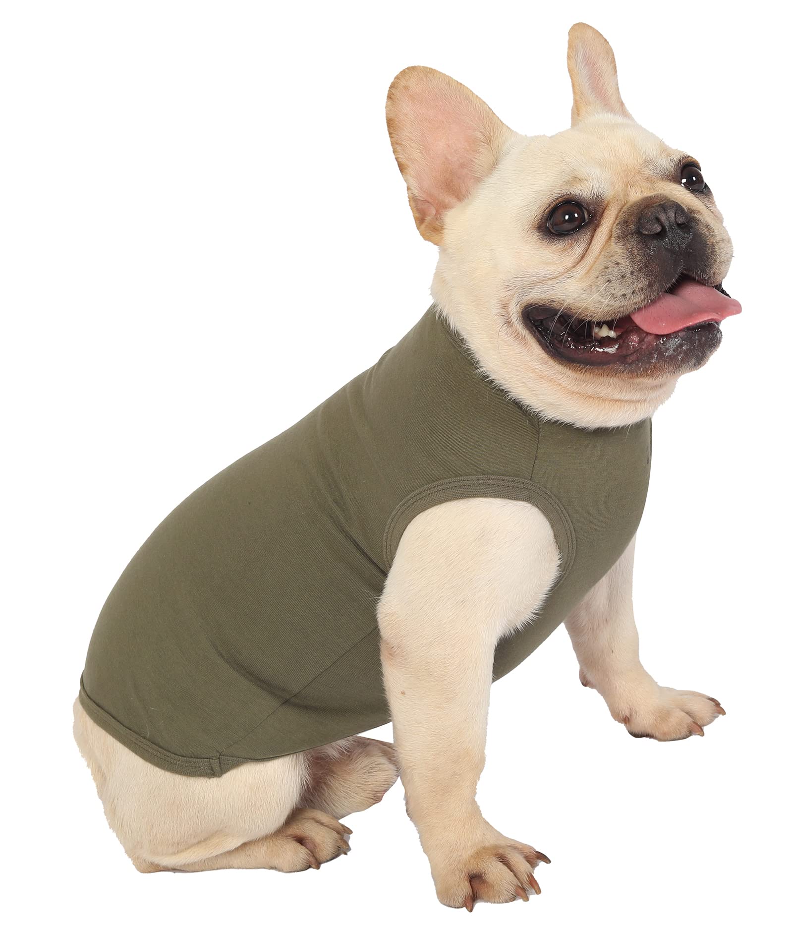 Sychien Dog Blank Cotton Shirts,Plain Dogs Large Clothes,Male Female Pet Costumes,Yellow & Purple Xxl