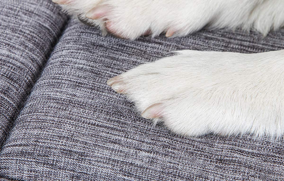 Qiaoqi Dog Bed Kennel Pad Crate Mat Washable Orthopedic Antislip Beds Dense Memory Foam Cushion Padding Bolster | Perfect Sleep