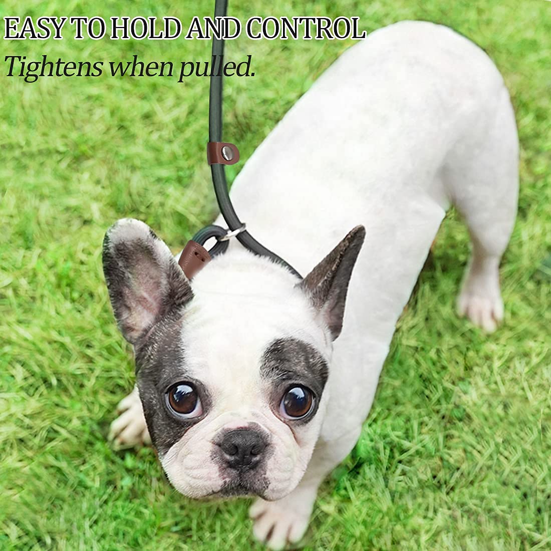 Maypaw Slip Lead Control Leash For Dogs No Pull, 13+ Colors Classic Dog Leash 7Ft Pet Leash, 1/4” Rope Leash For Small Medium Animals