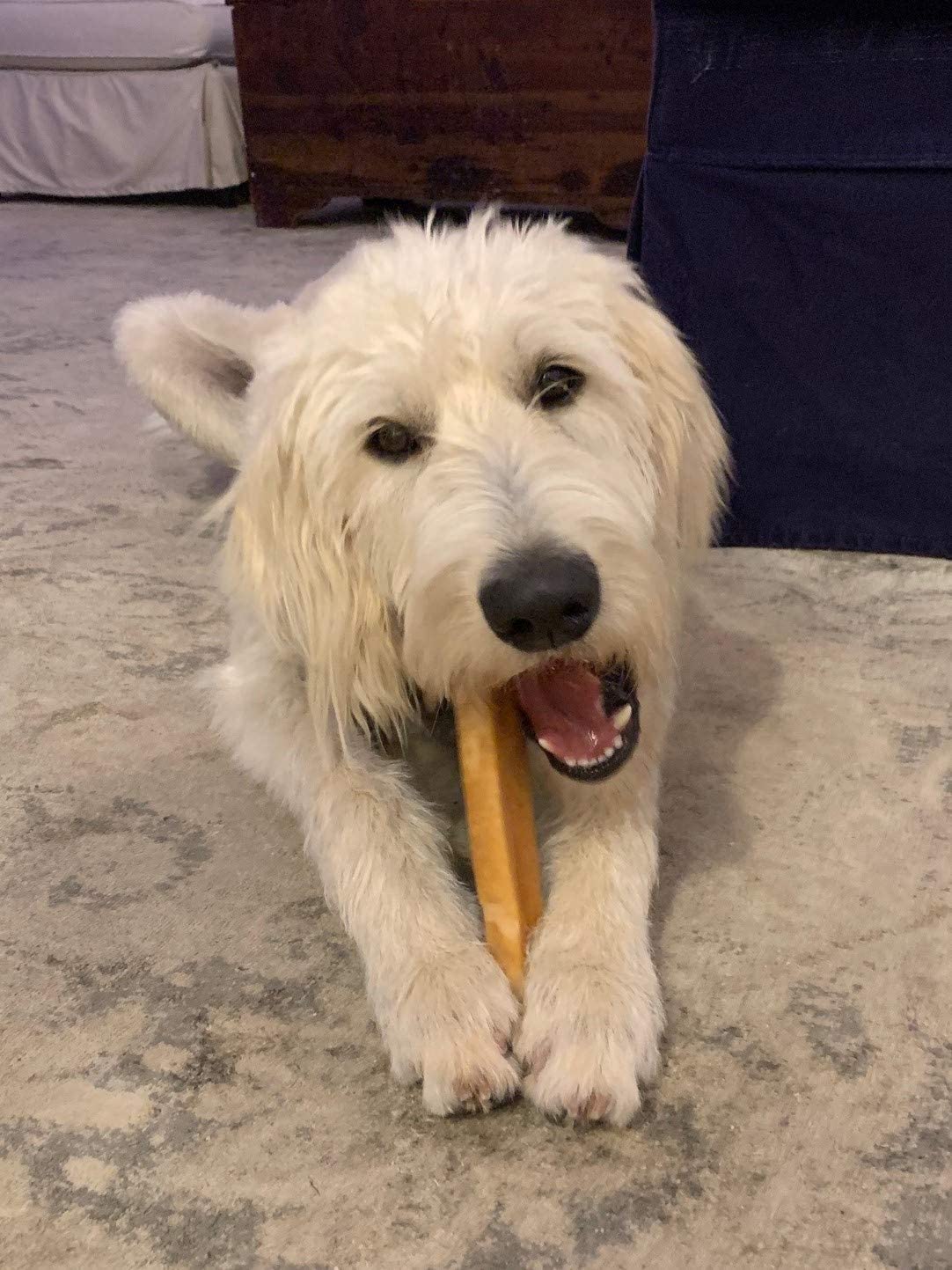EcoKind Premium Gold Yak Cheese Himalayan Dog Chews, Dog Treats Large Breed, All Natural, High Protein Dog Chew, Cheese, Large -
