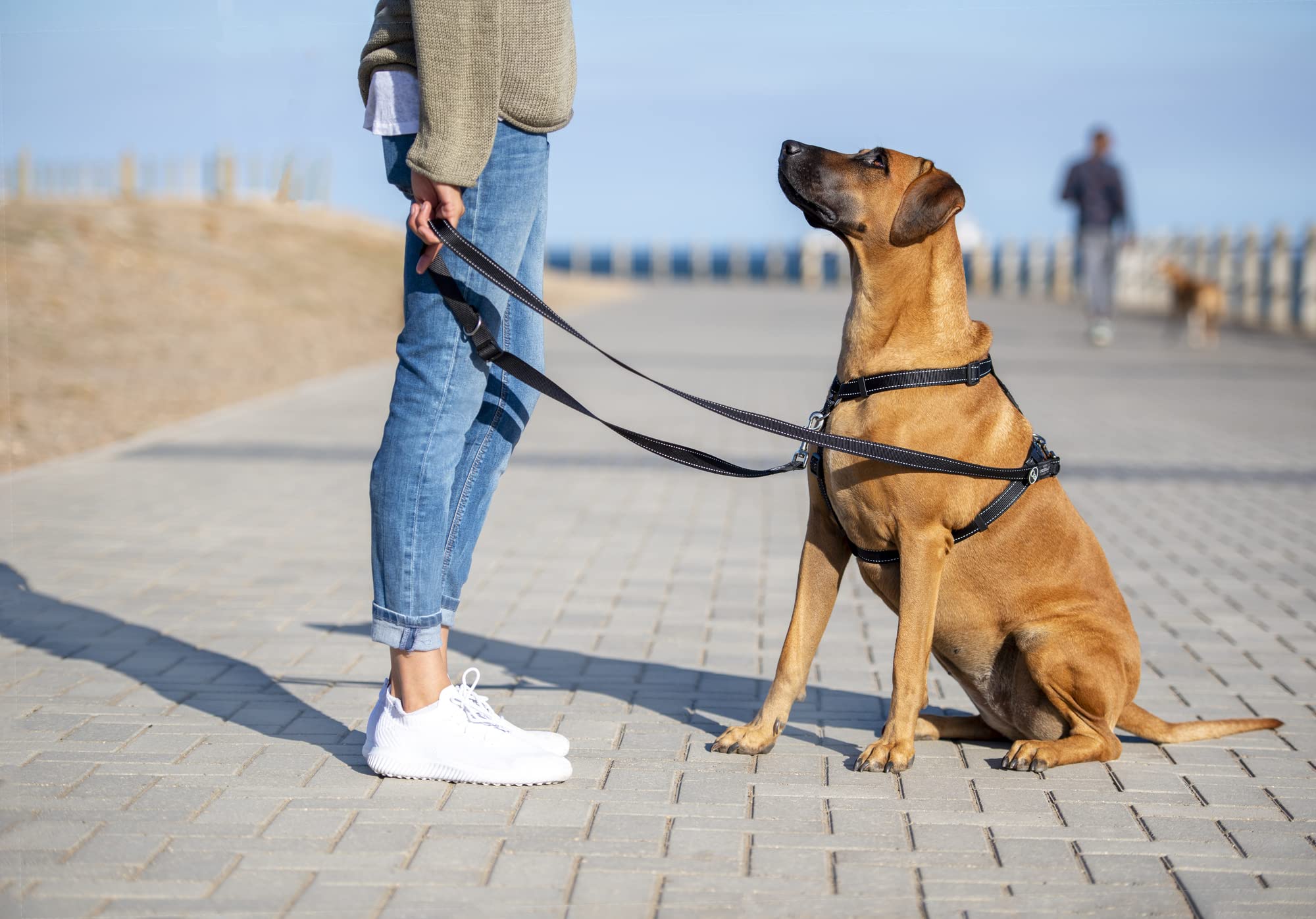 Control Multi-Leash X-Large - Red