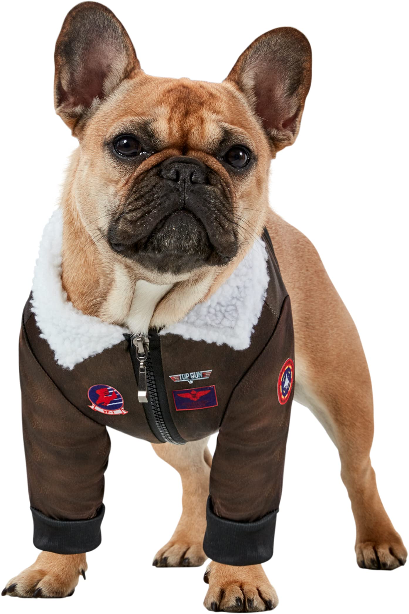 Rubies Top Gun Classic Pet Costume - X-Small, As Shown - Ideal for Themed Parties and Halloween, Model 202353_XS