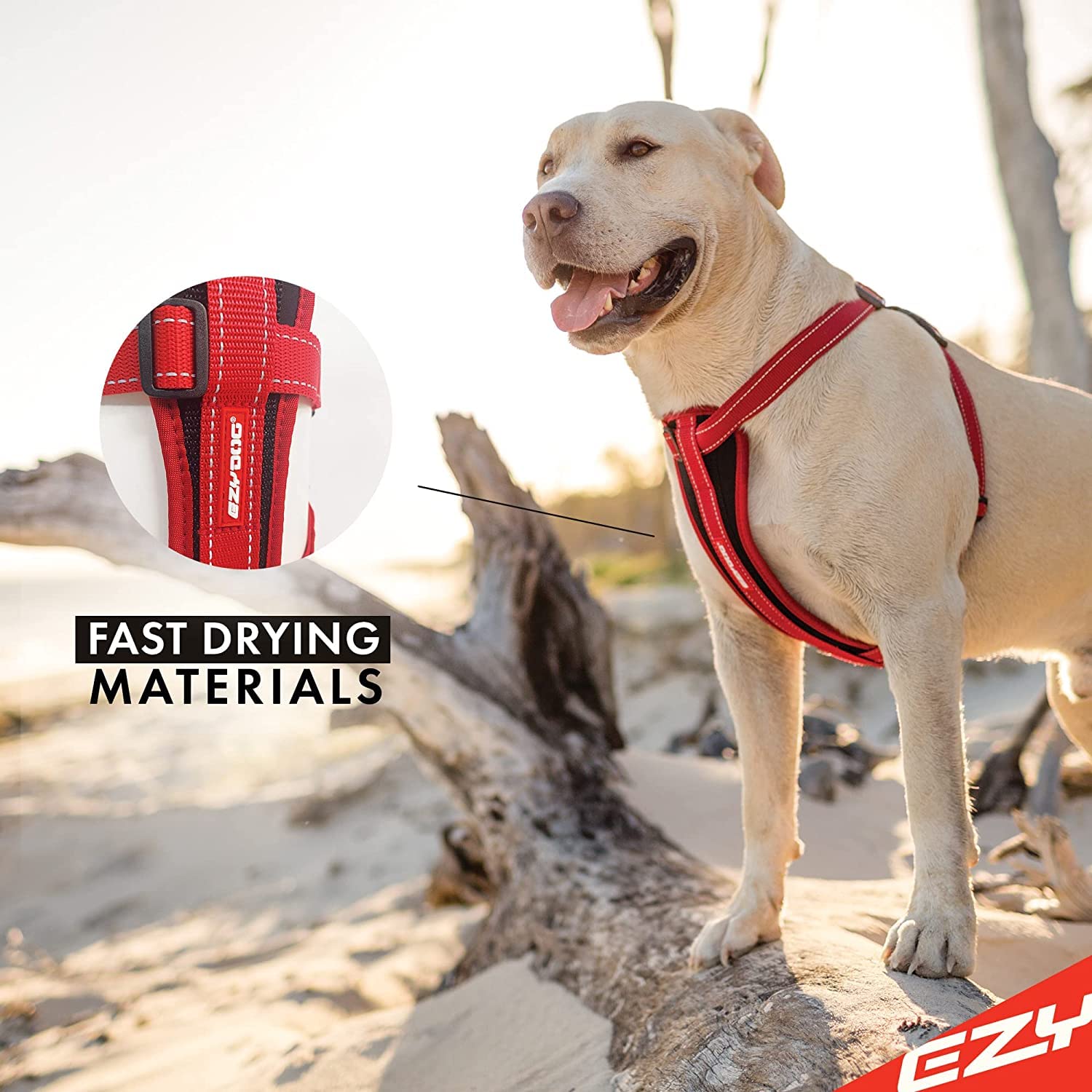 Ezydog Premium Chest Plate Custom Fit Reflective No-Pull Padded Comfort Dog Harness - Perfect For Training, Walking, And Control - Includes Car Restraint Attachment (X-Small, Purple)