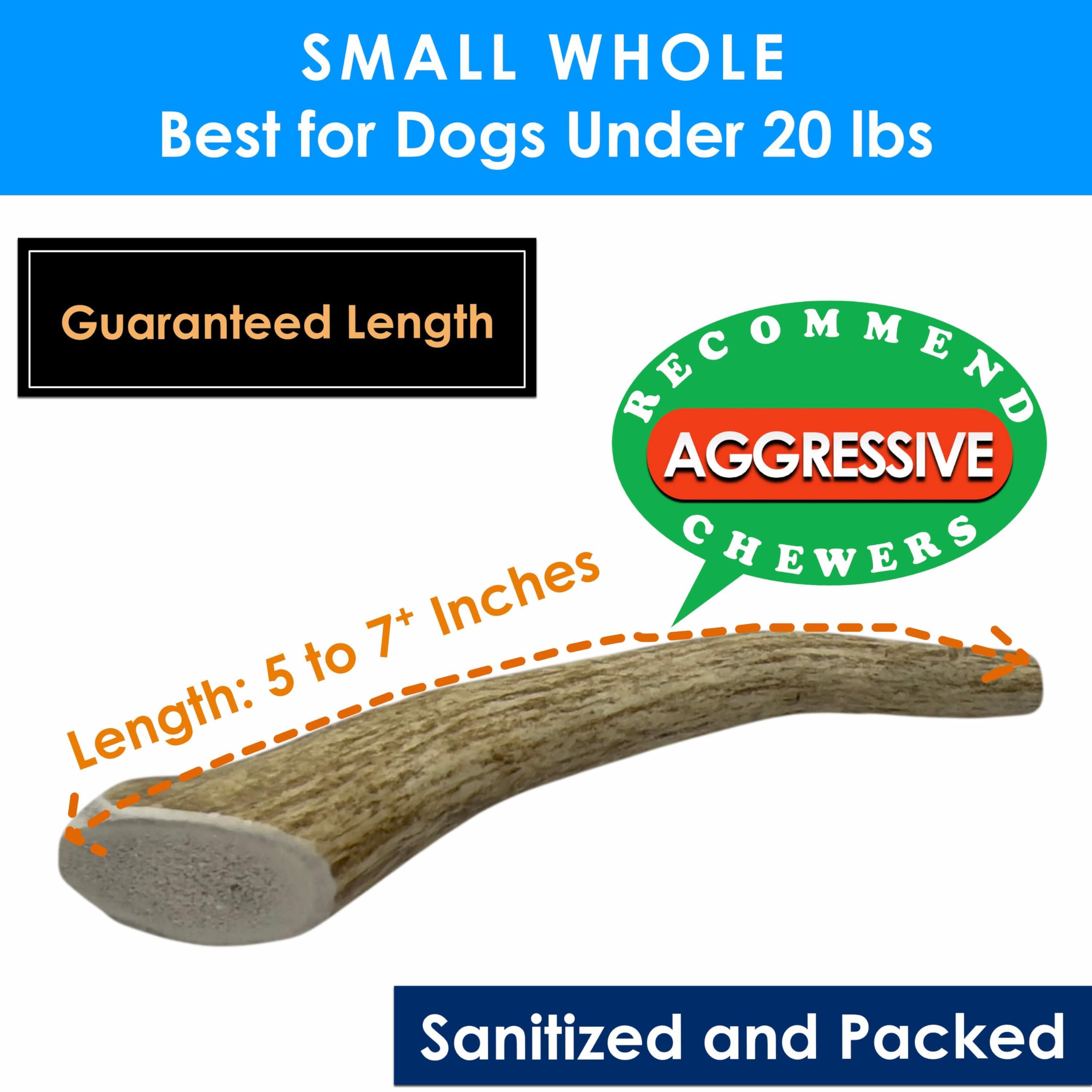 Deluxe Naturals 2-Pack Small Whole Elk Antler Dog Chews (5 to 7+ in) for Small Dogs Under 20 lbs, Long Lasting Natural Dog Bones