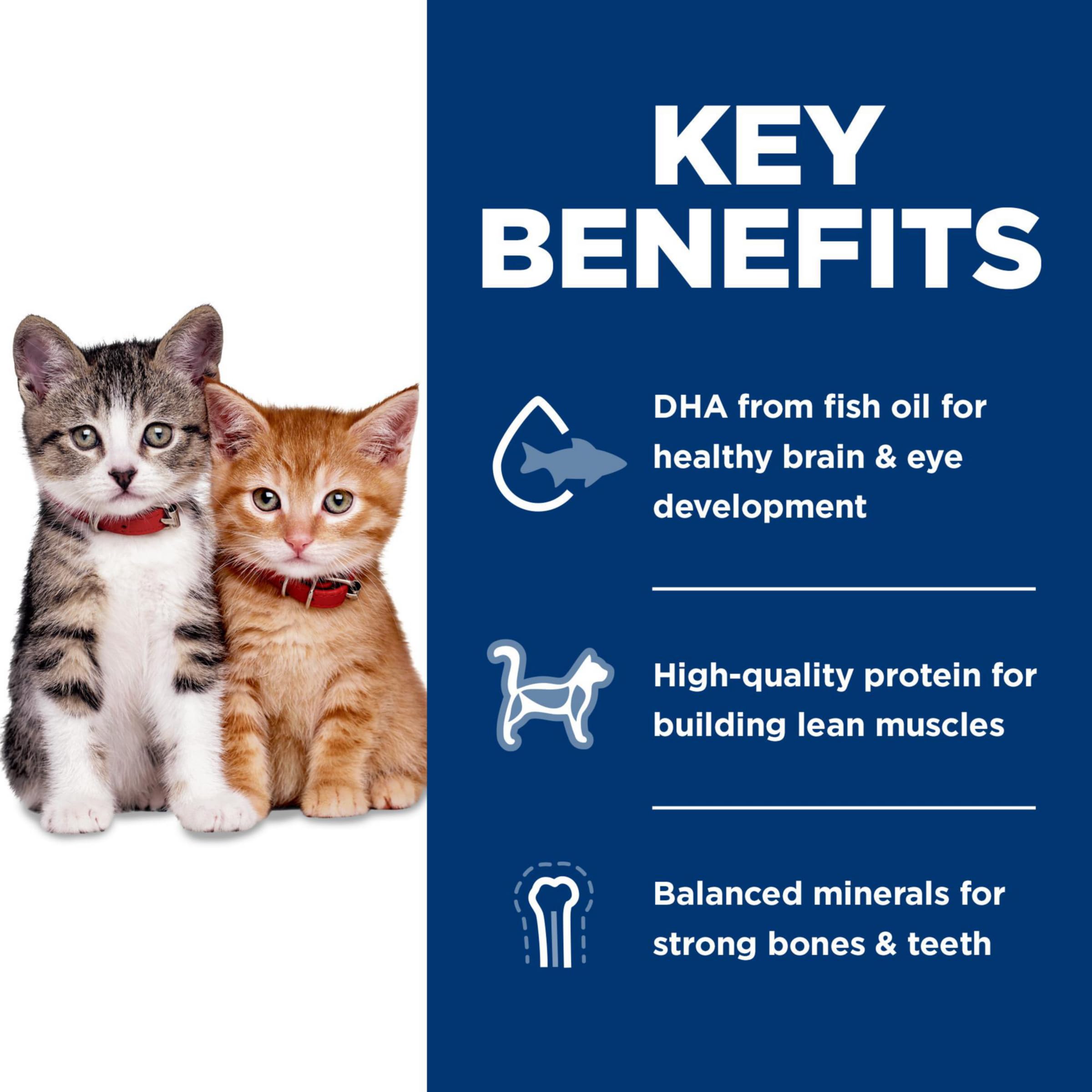 Hills Science Diet Kitten, Kitten Premium Nutrition, Dry Cat Food, No Corn, Wheat, Soy Chicken & Brown Rice, 6 lb Bag