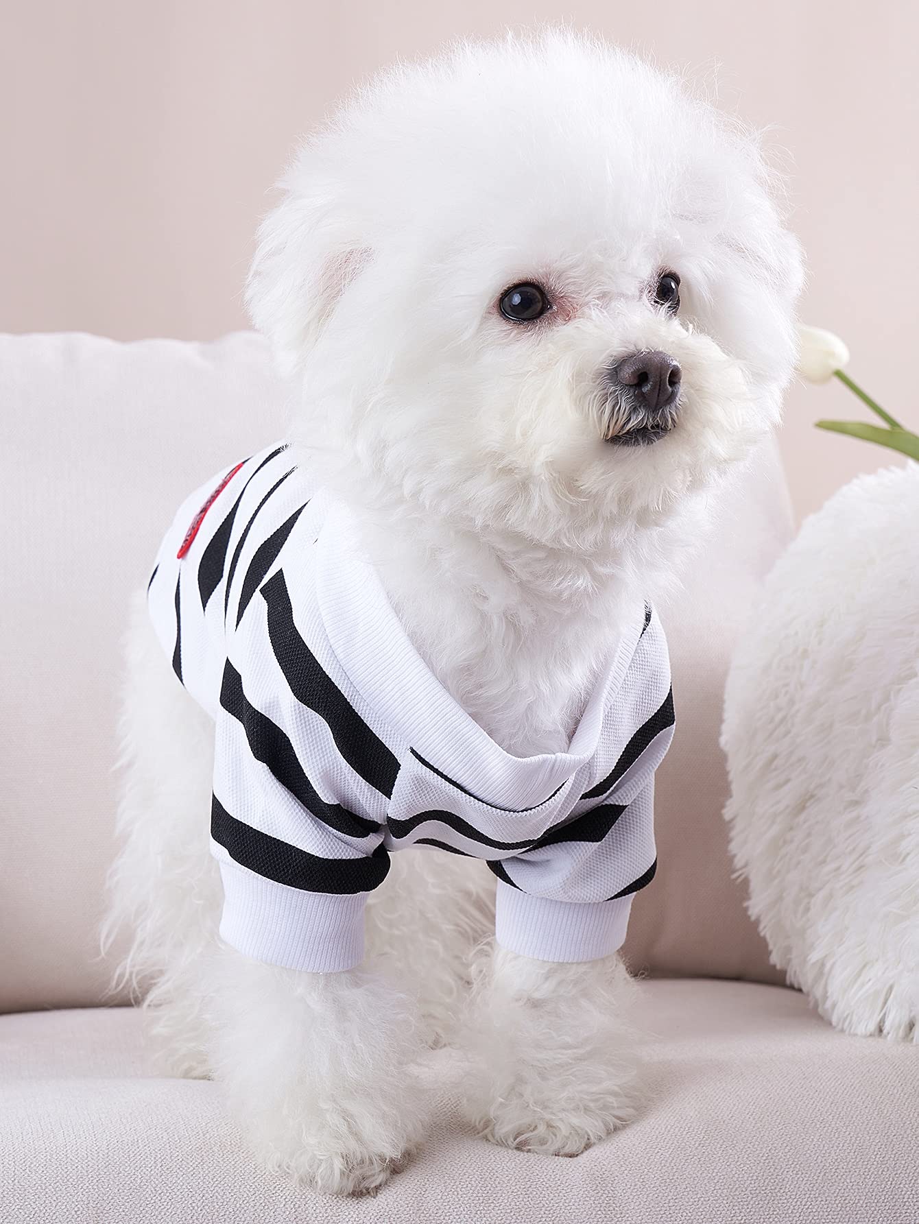 White Dog Shirt For Small Dogs Striped Dogs Shirts For Bulldog Medium Dog Tshirt, Xl, White