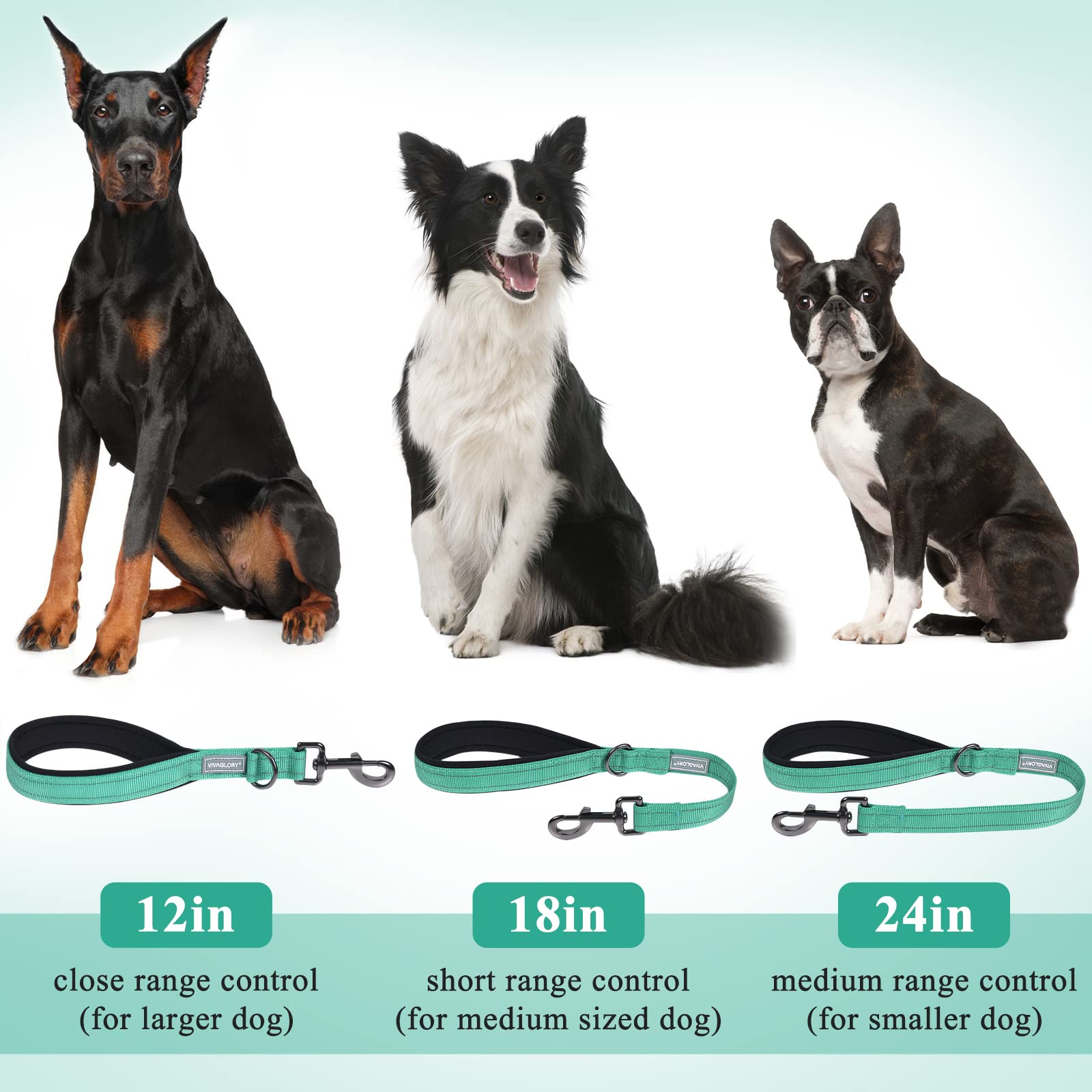 Vivaglory Short Dog Leash - Traffic And Training Leash For Medium & Large Dogs, 12 Inch, Green