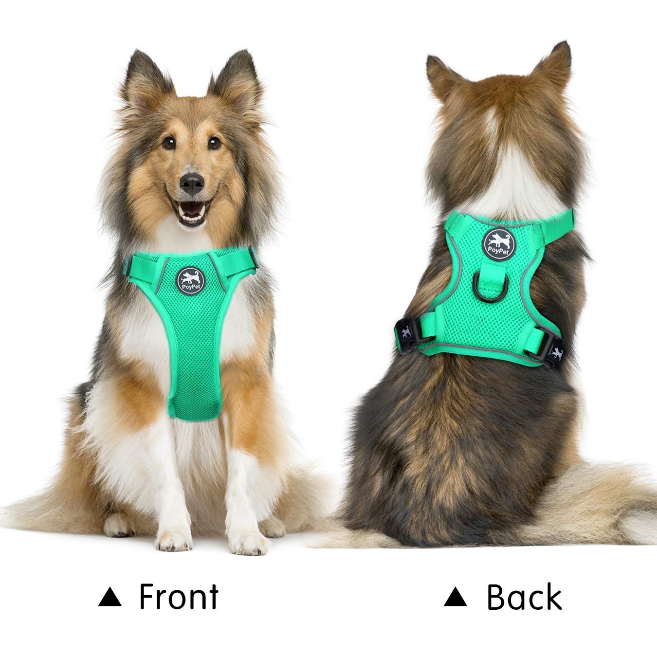 Poypet Reflective Soft Breathable Mesh Dog Harness Choke-Free Double Padded Vest With Adjustable Neck And Chest(Mint Green,S)