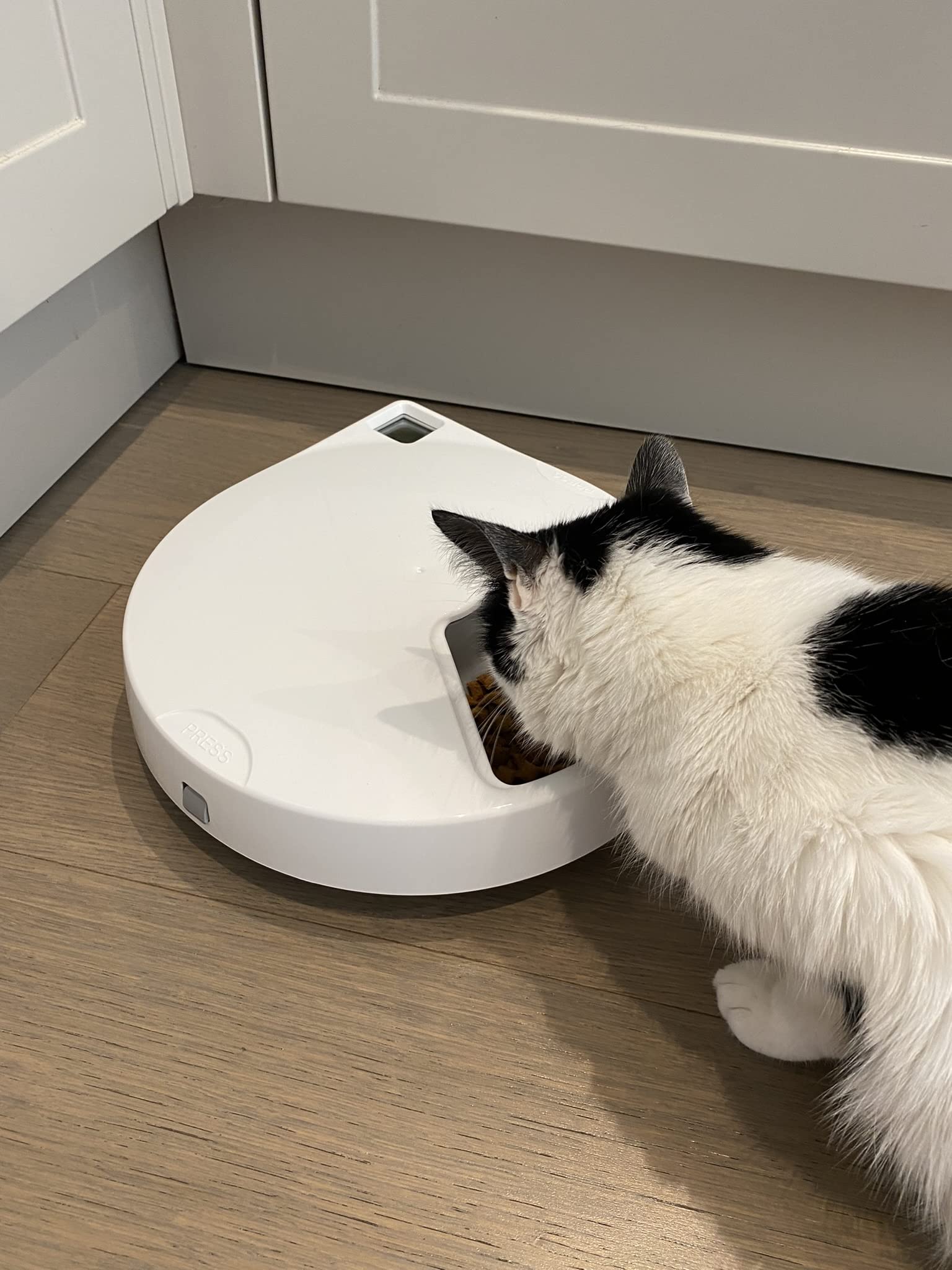 Closer Pets Five-Meal Automatic Pet Feeder with Stainless Steel Bowl and Ice Pack