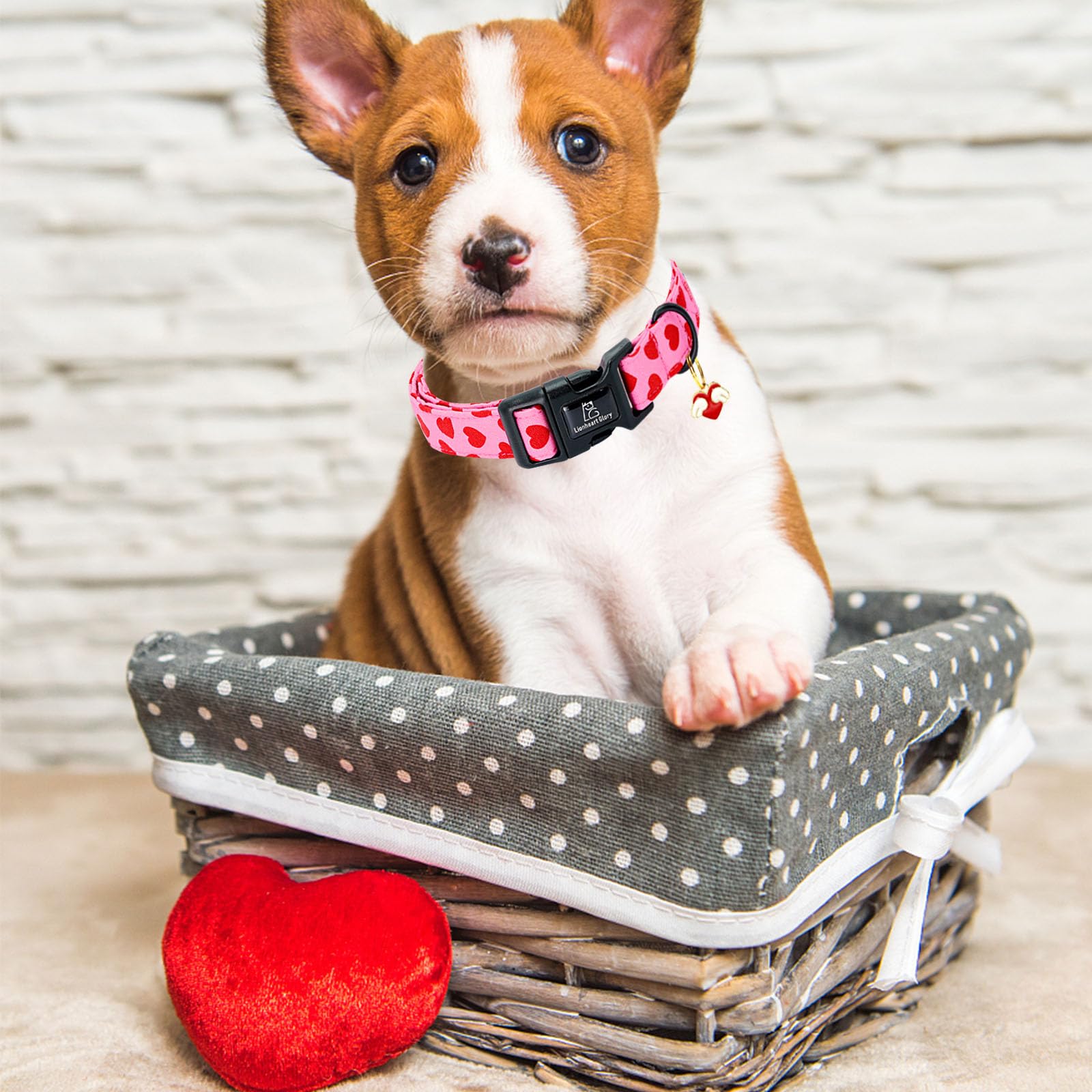 Lionheart Glory Valentine Collar-Red Hearts Dog Collar For Large Cute Pink Dog Collars Spring Female Male Pet Gift Adjustable He