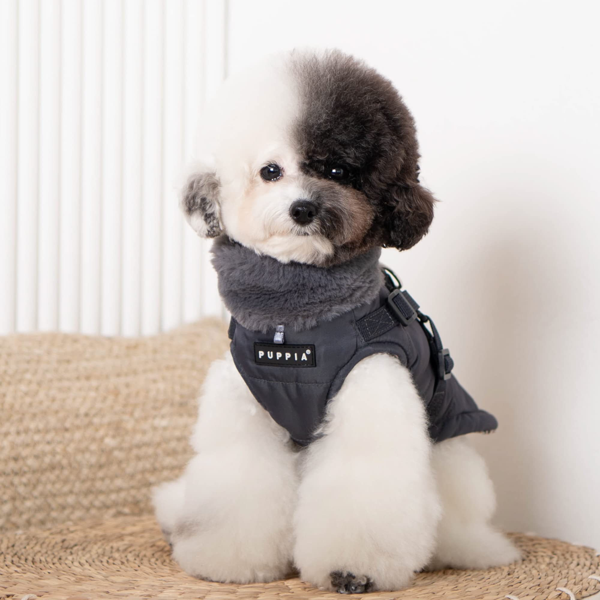 Puppia Donavan Winter Dog Coat With Integrated Harness No Pull Cold Weather Waterproof Warm Fleece Back Zipper For Small & Medium Dog, Grey, Large