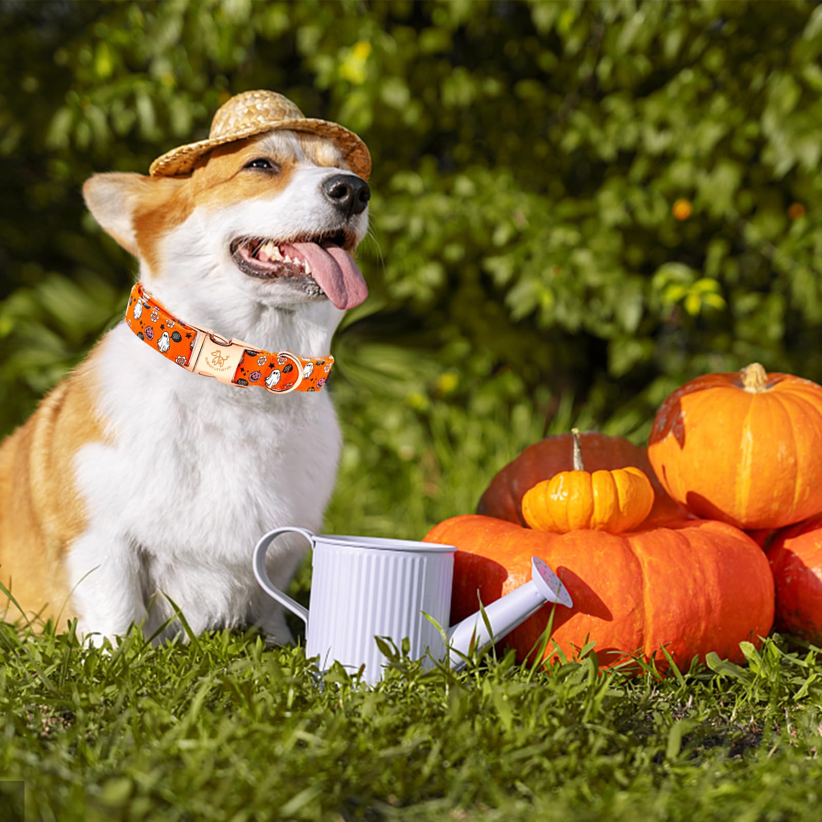 Elegant Little Tail Halloween Dog Collar - Pumpkin Print, Cotton With Metal Buckle, Adjustable For Medium Dogs