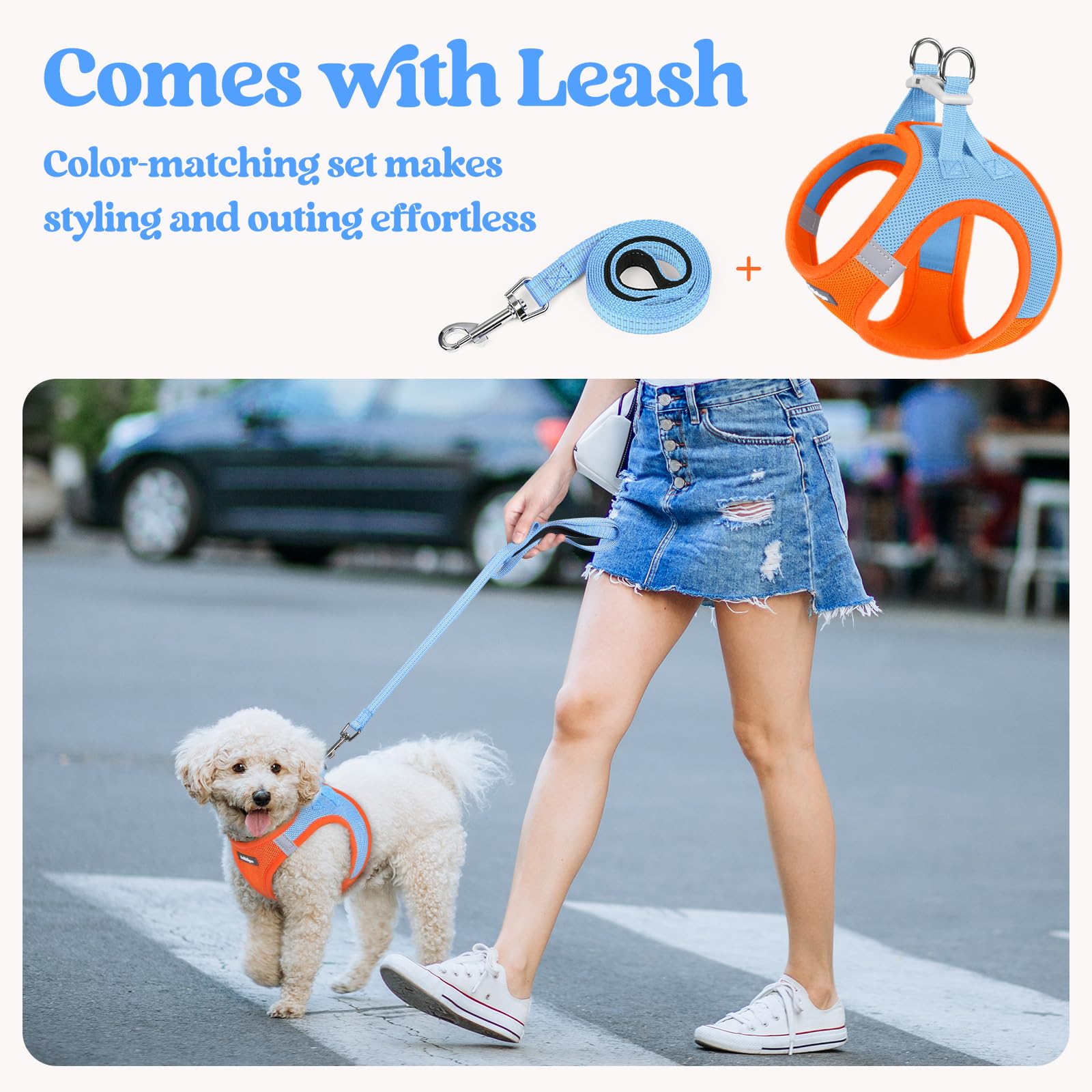 rabbitgoo Dog Harness Small Sized and Leash Set, Step in Soft Light Puppy Vest, Breathable Mesh Pet Harness, Reflective for Safe