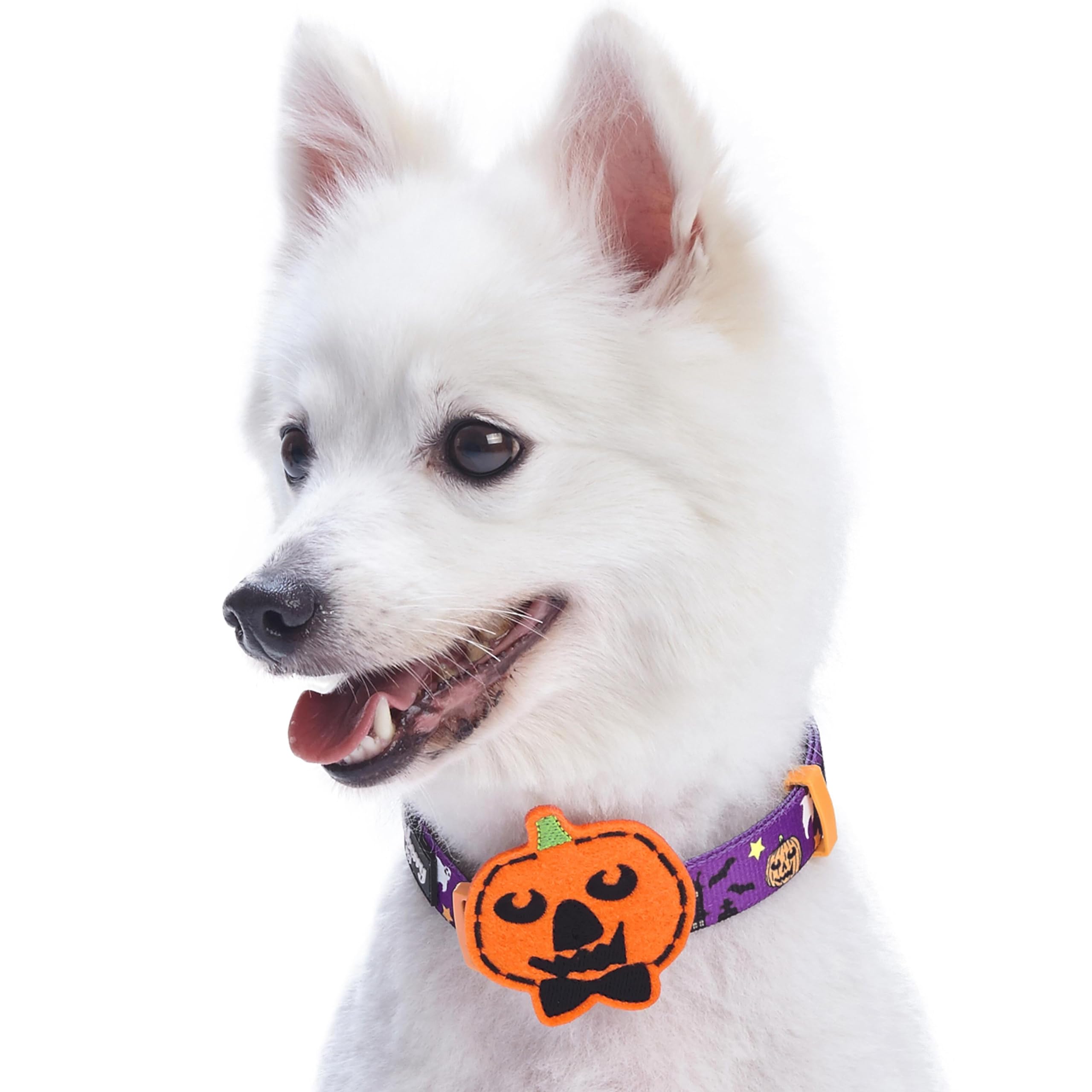 Blueberry Pet 8 Patterns Halloween Darkness Deserted Castle Designer Adjustable Dog Collar With Decoration, Small, Neck 12'-16'