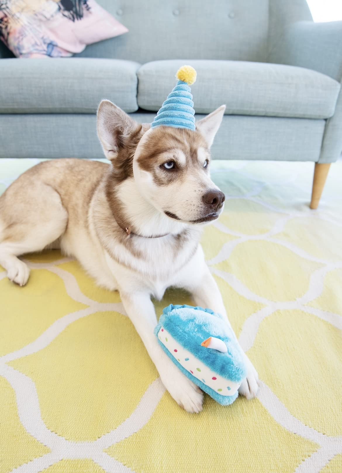 Zippypaws Birthday Box - Birthday Gift For Dogs, Squeaky Toy Set, Colorful Squeaky Dog And Puppy Toys, And Precious Doggy Plushies - 3 Toys