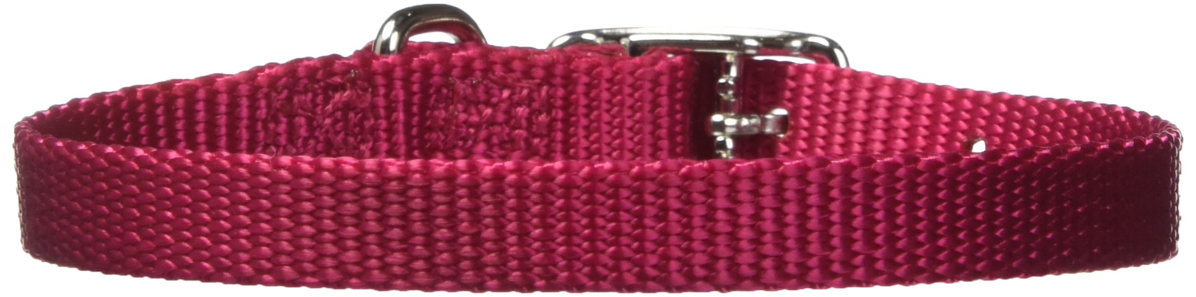 Hamilton Adjustable Nylon Dog Collar, Wine, 3/8' X 7-12'