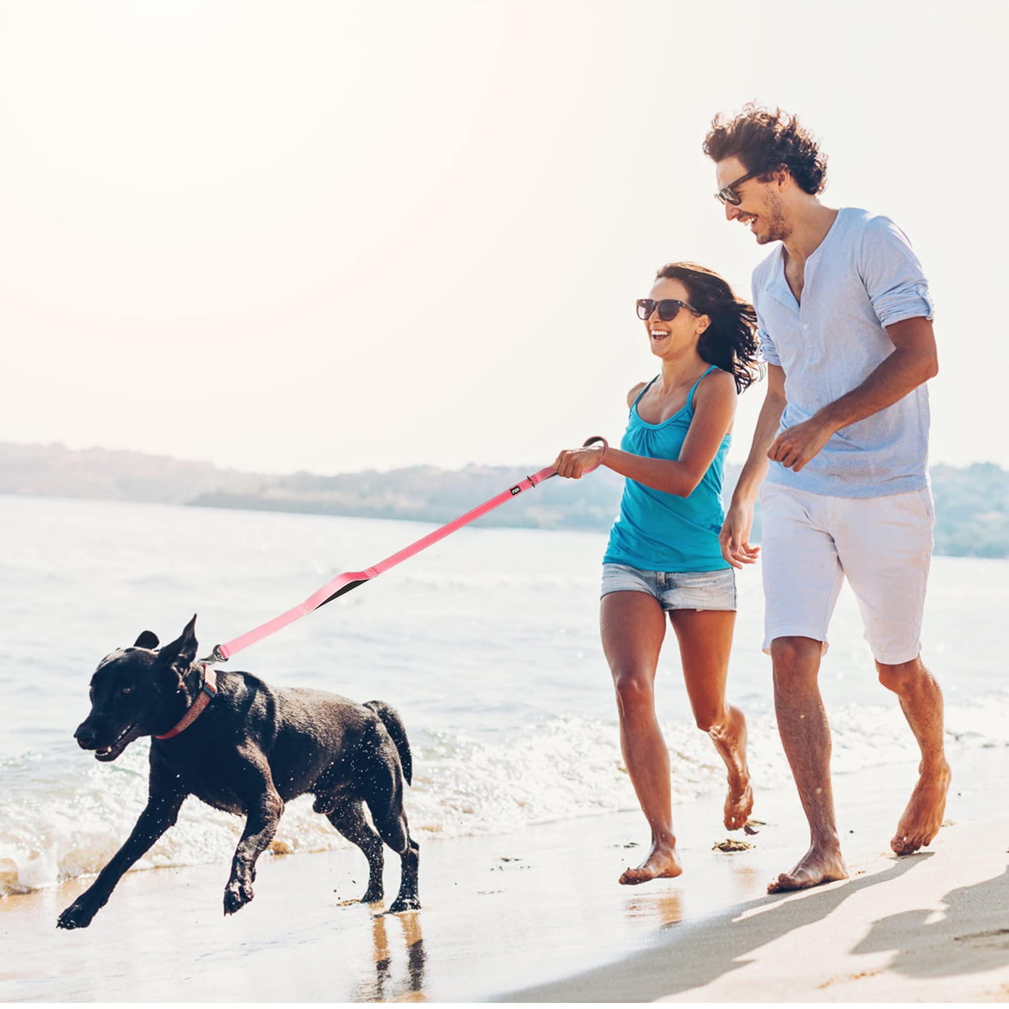 Fida 6 Ft Heavy Duty Dog Leash With 2 Comfortable Padded Handles, Traffic Handle & Advanced Easy Snap Hook, Reflective Walking Lead For Large, Medium & Small Breed, Pink